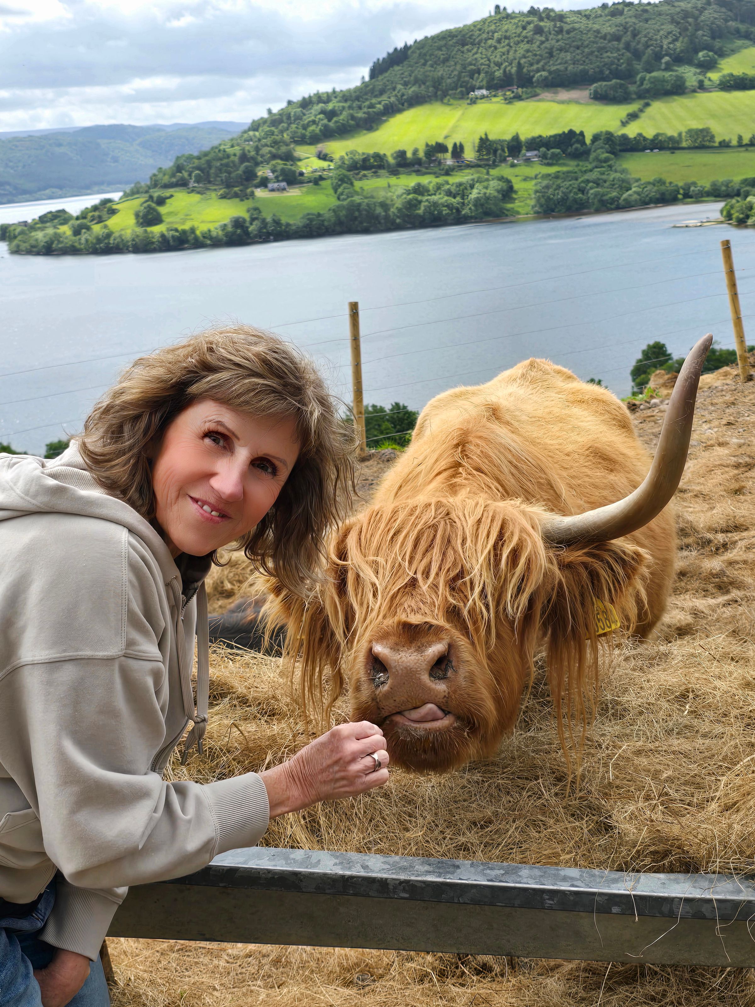 Rise & Thrive Counseling LLC's image