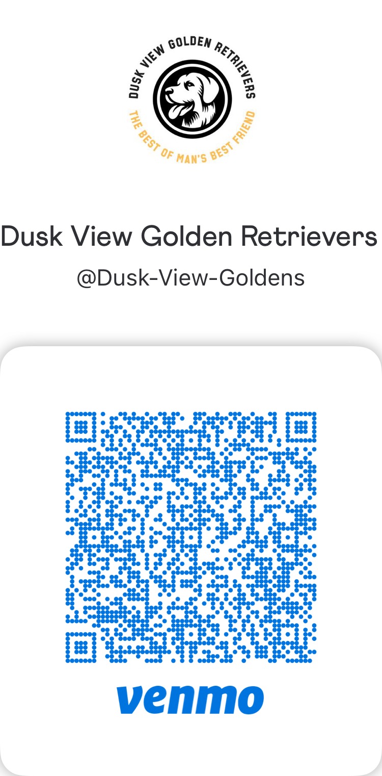 Dusk View Golden Retrievers's image