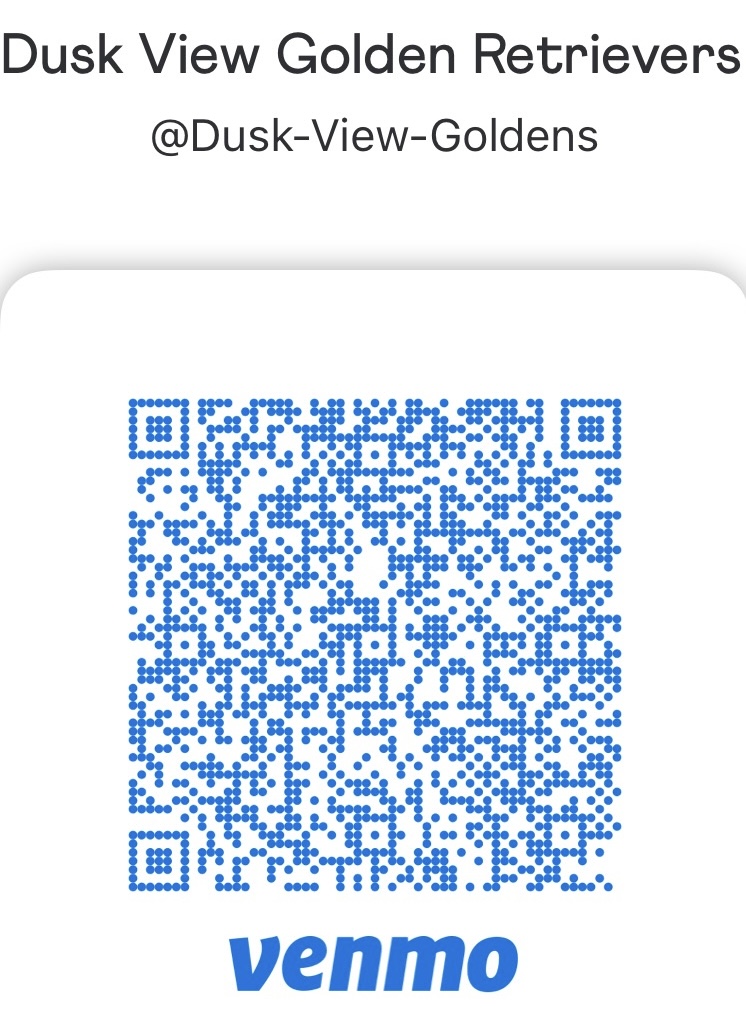 Dusk View Golden Retrievers's image