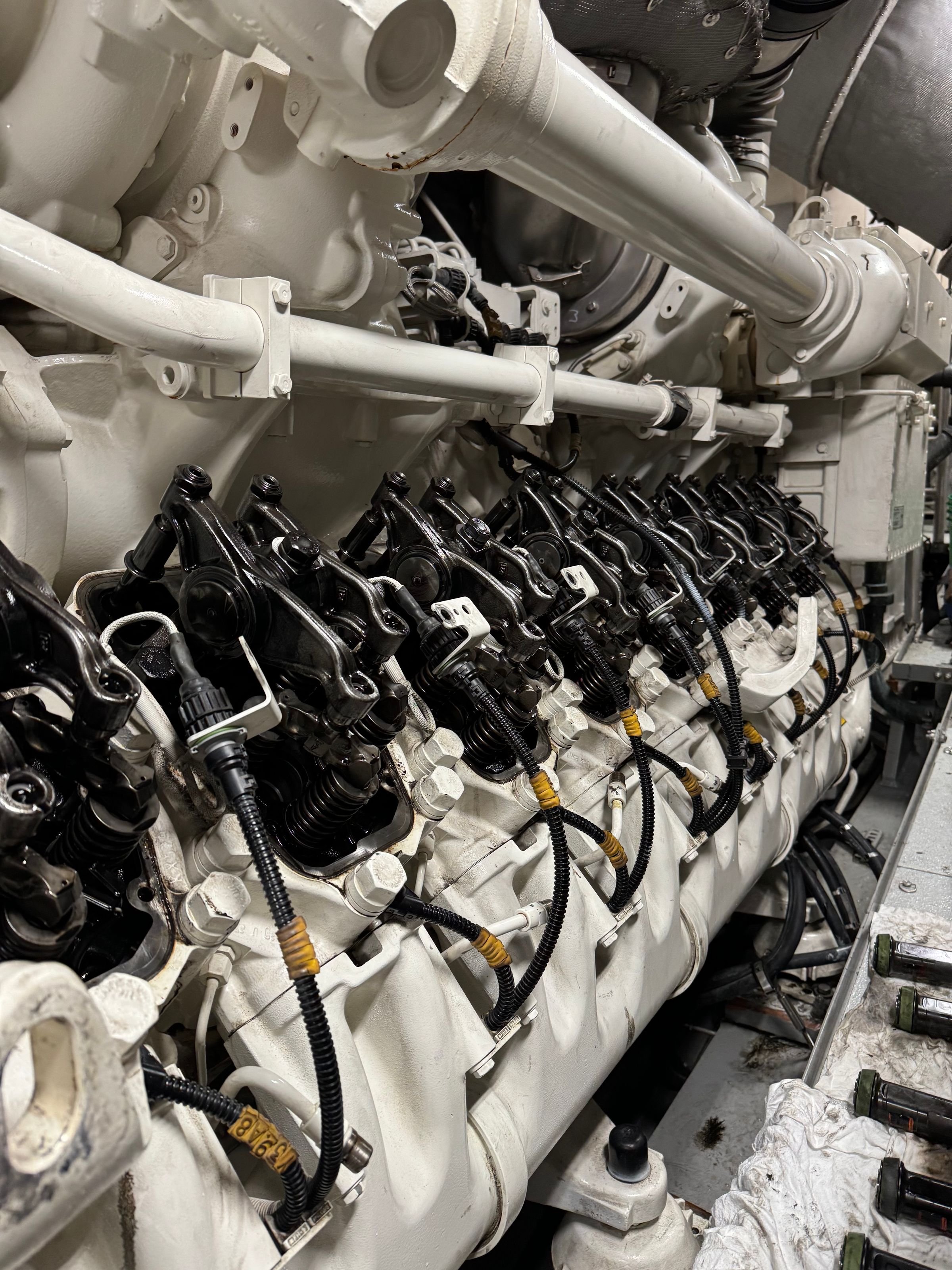 Palmetto Marine's image