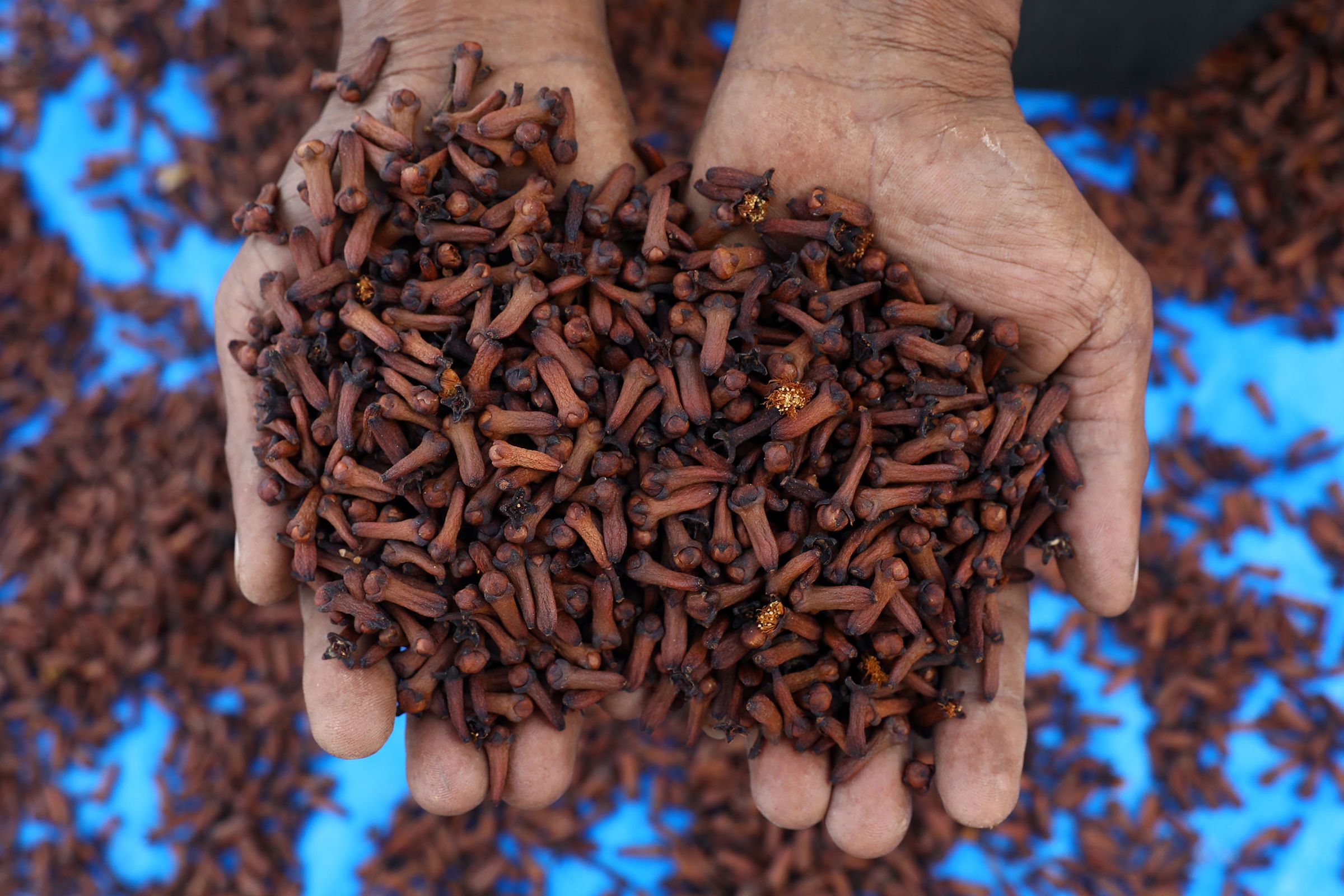 Indonesian Export Company for Natural Resources's image