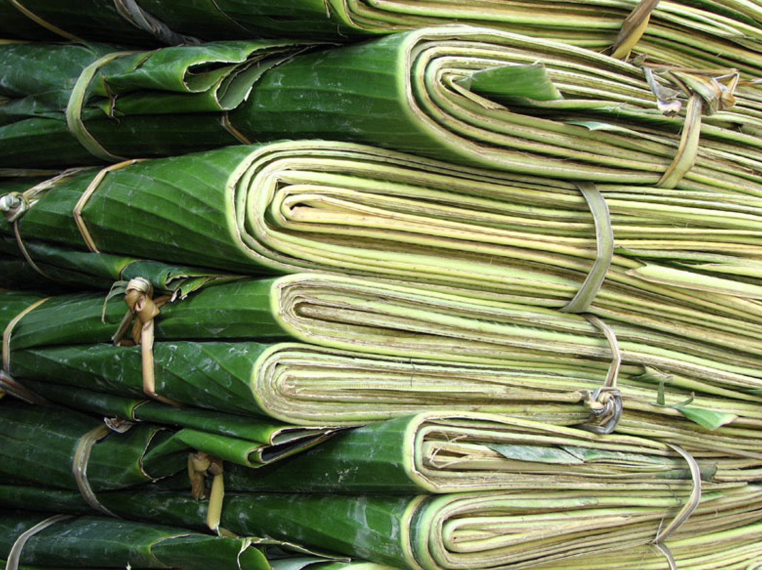 Indonesian Export Company for Natural Resources's image