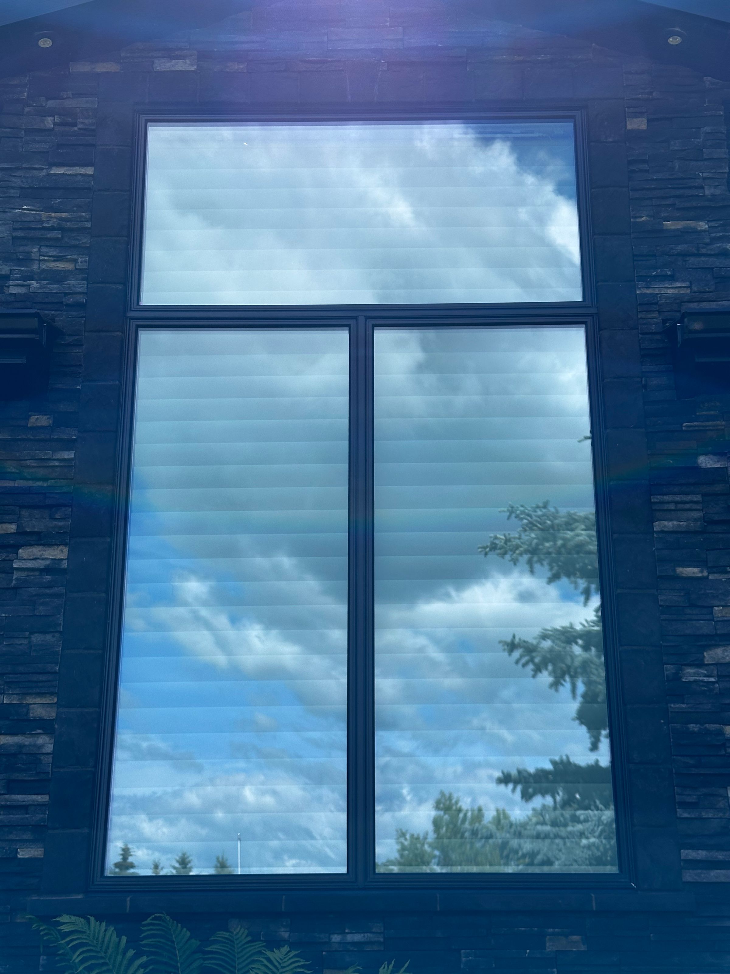 Rhino Exterior Cleaning Services's image