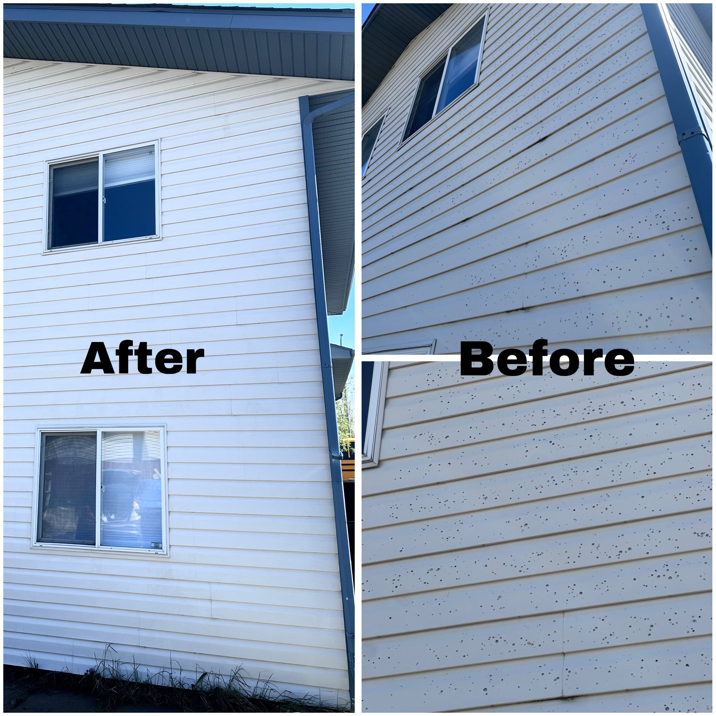 Rhino Exterior Cleaning Services's image
