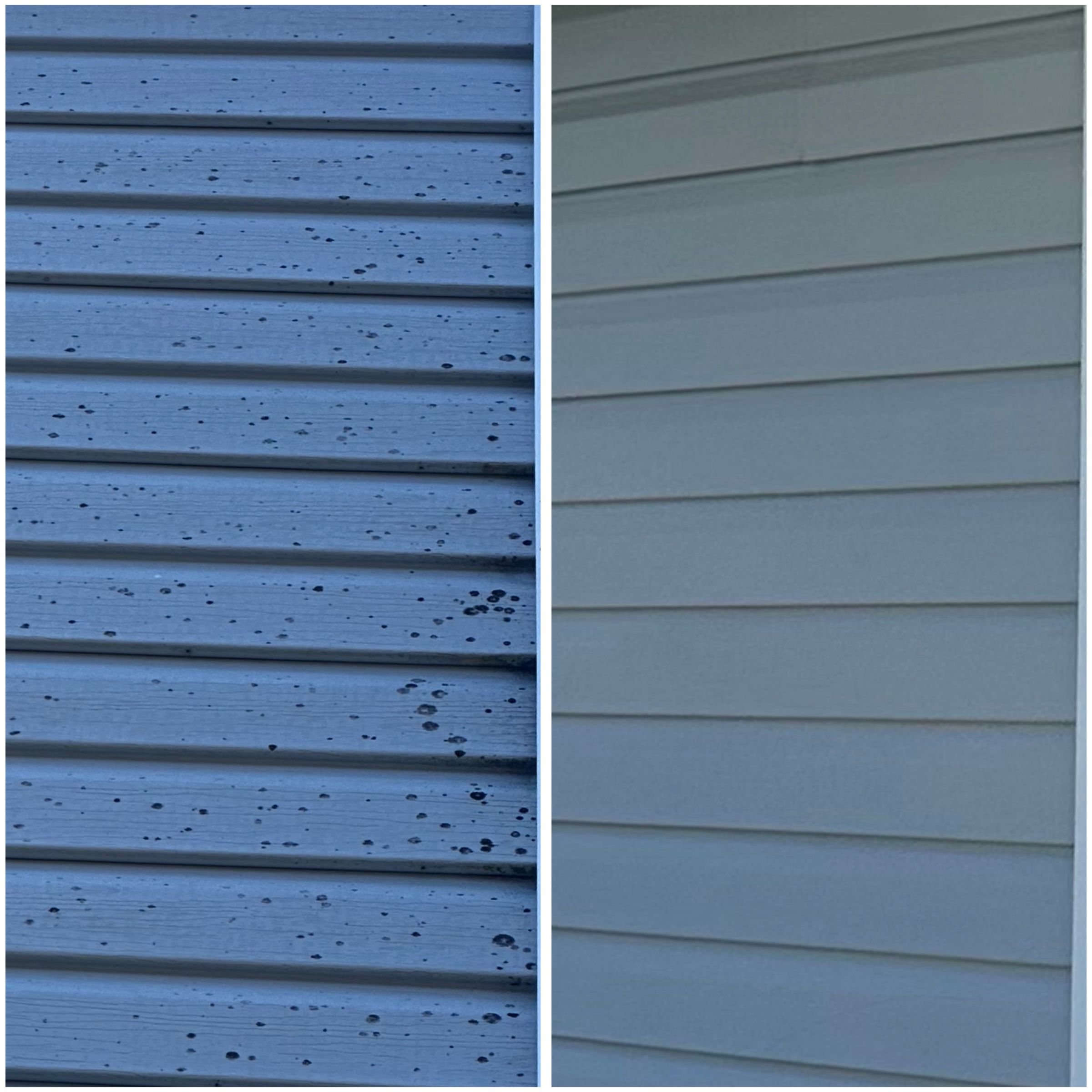 Rhino Exterior Cleaning Services's image