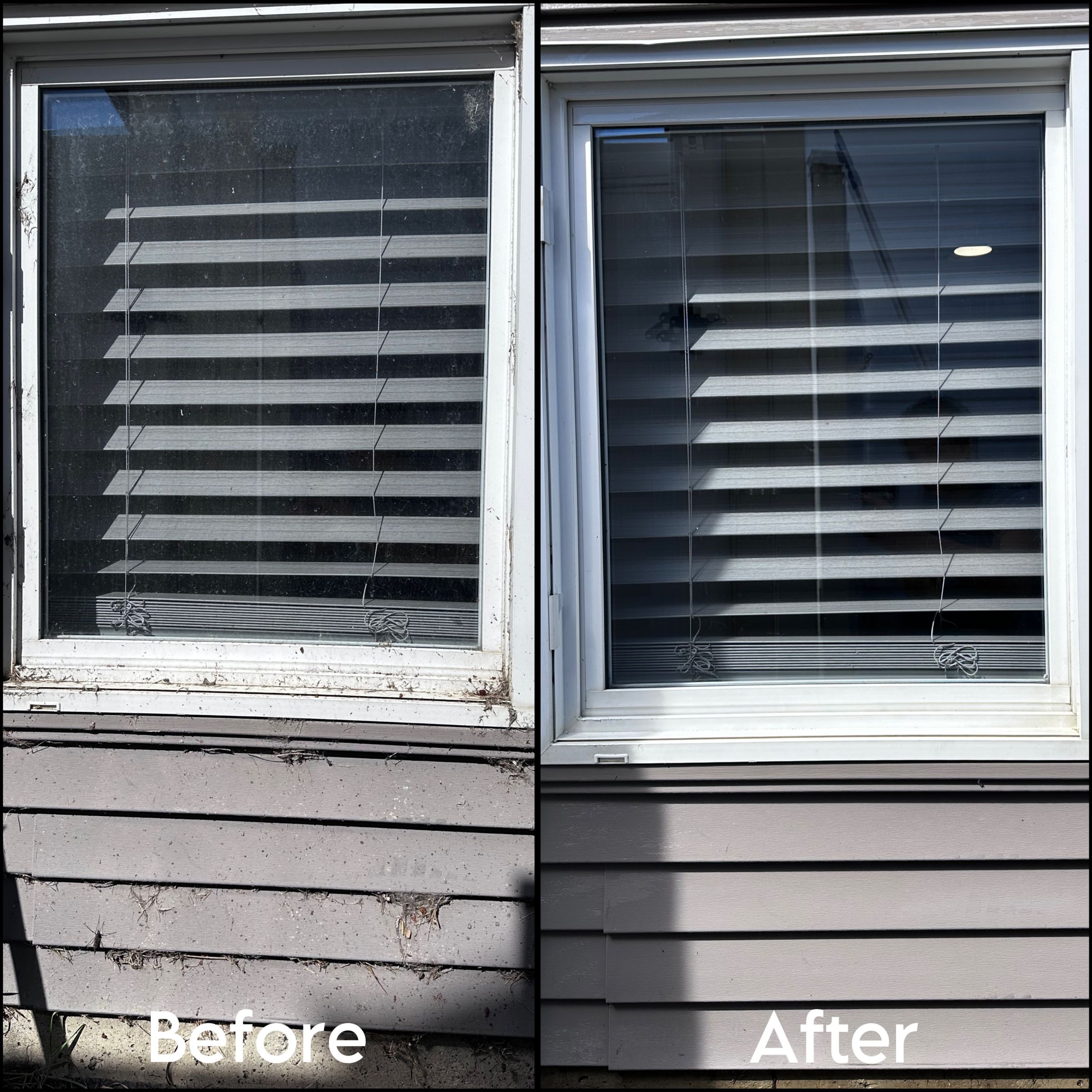 Rhino Exterior Cleaning Services's image