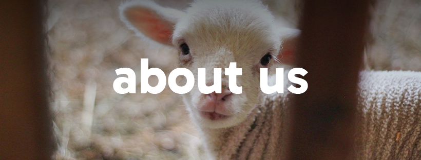 St Kirstelle Farms's image