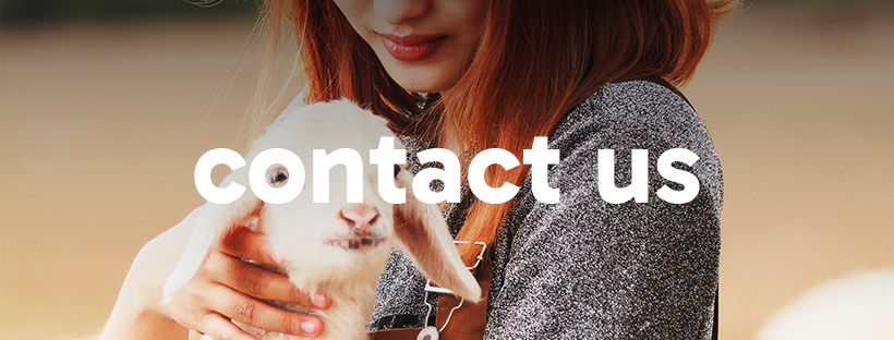 St Kirstelle Farms's image