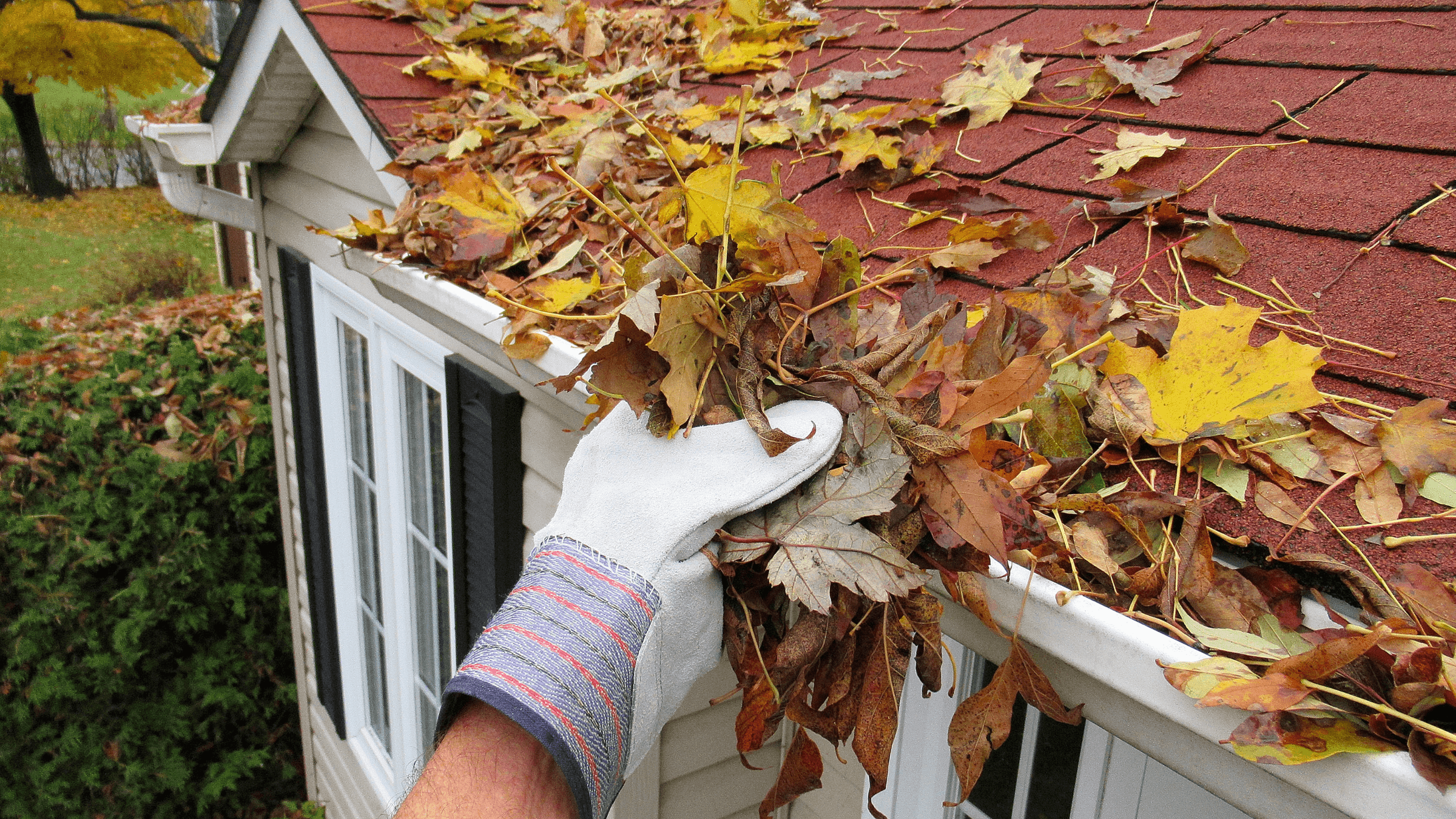 Klump Property Maintenance's image