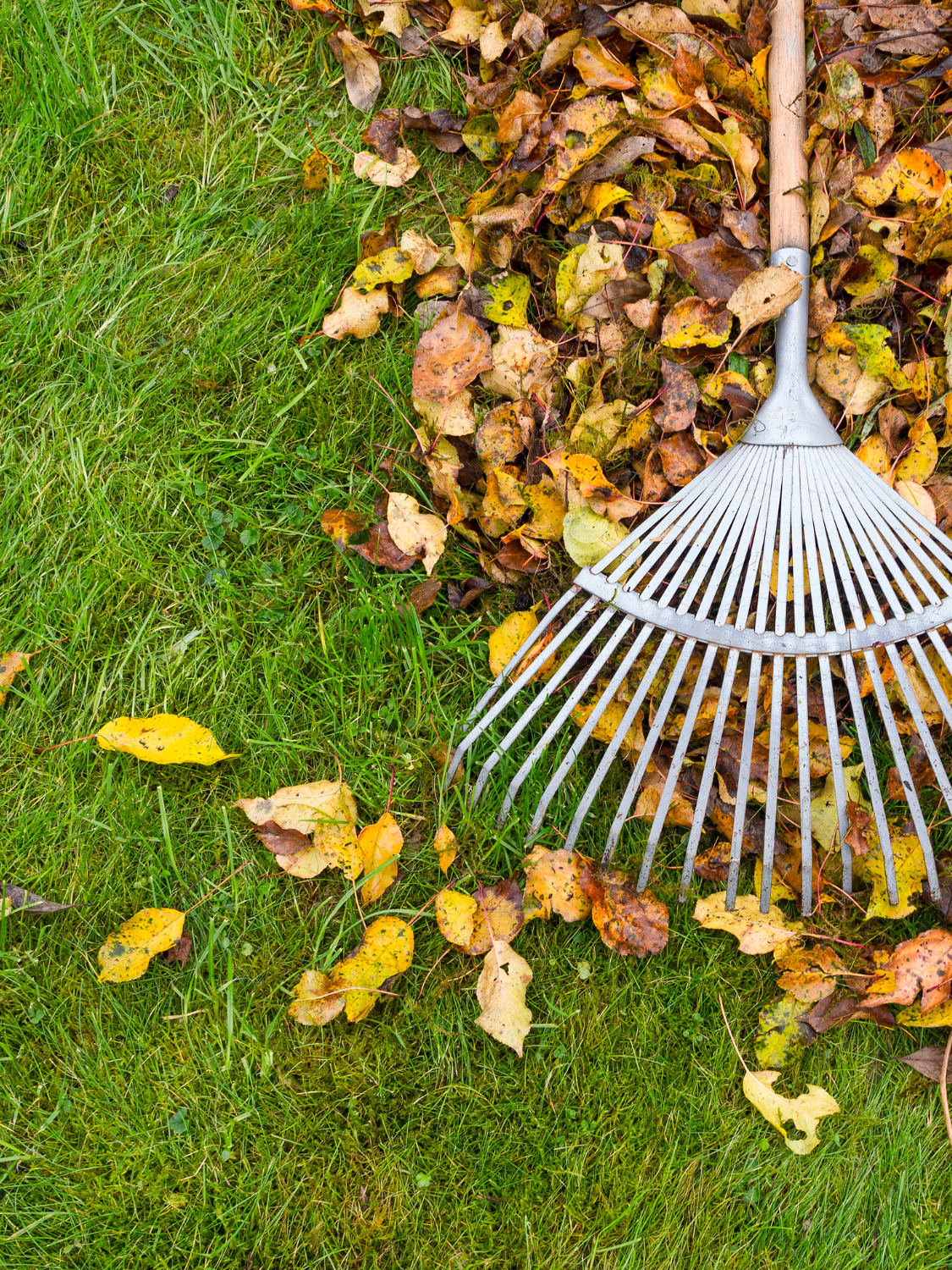 Klump Property Maintenance's image