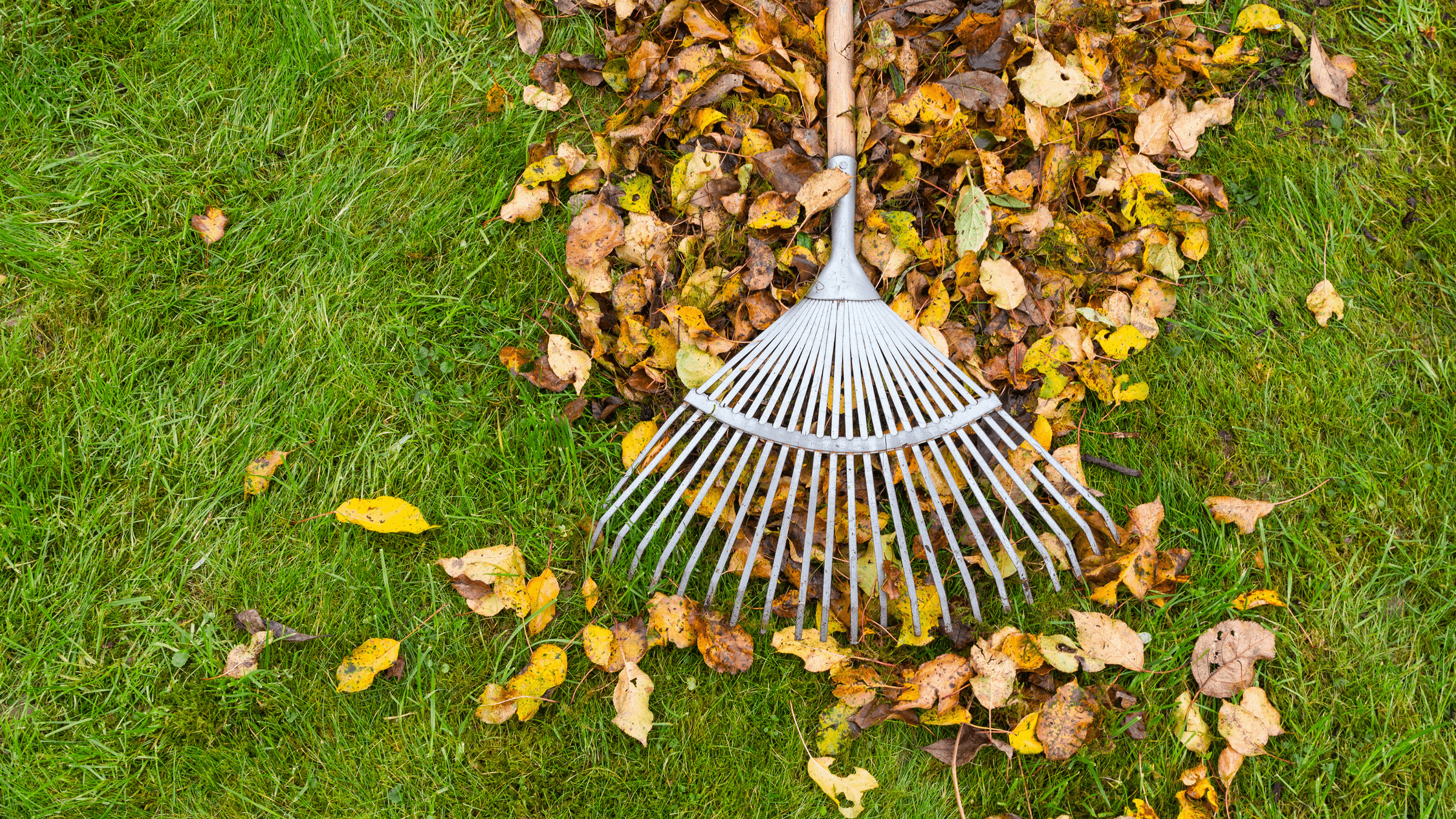 Klump Property Maintenance's image