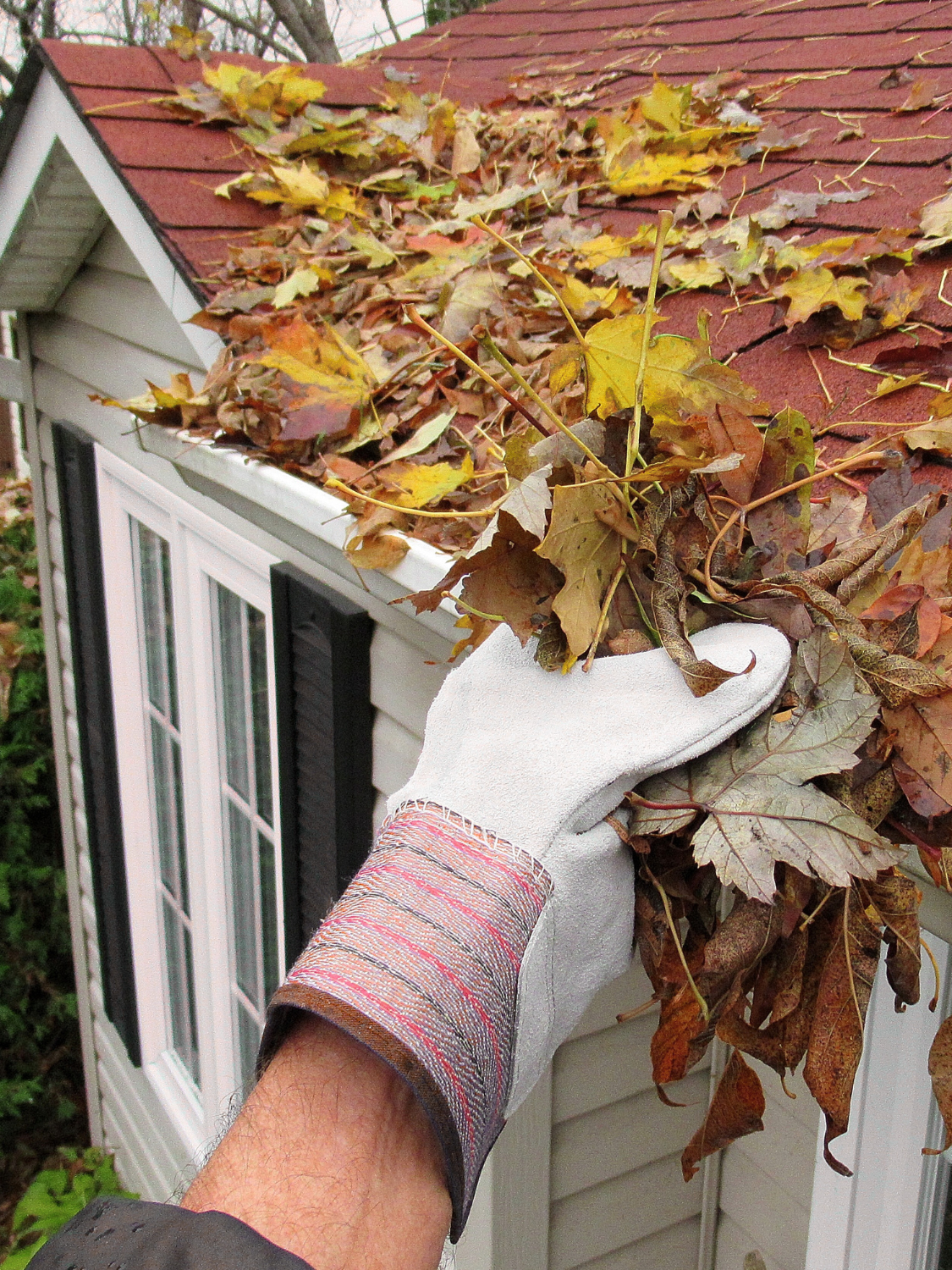 Klump Property Maintenance's image