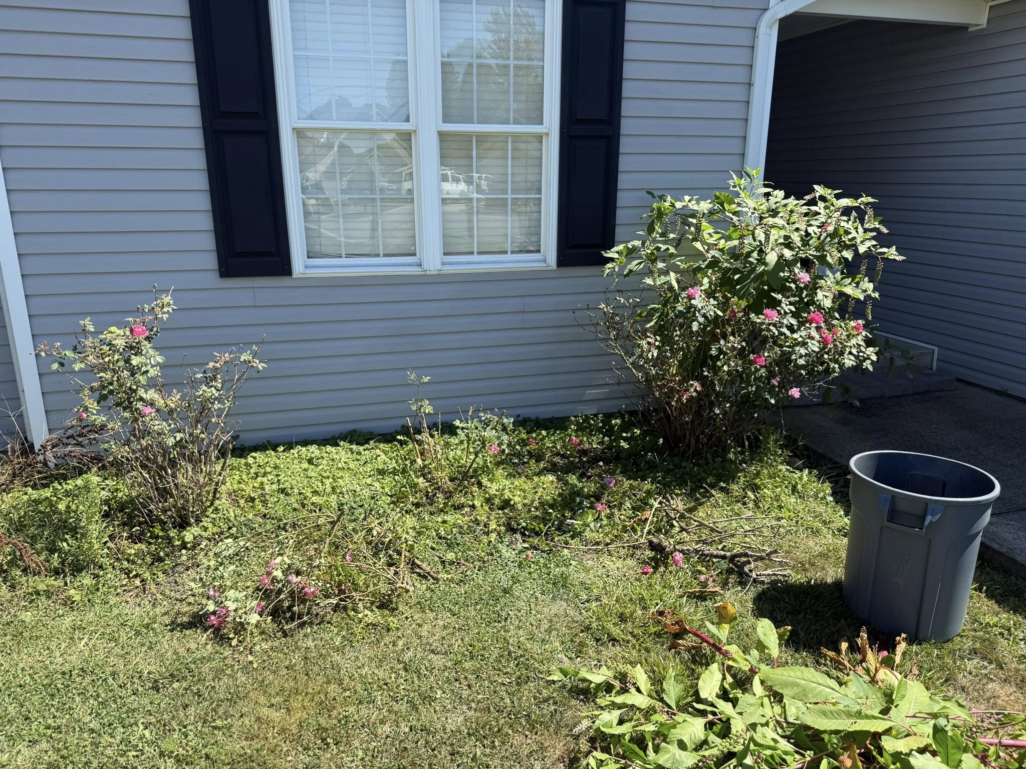 Klump Property Maintenance's image