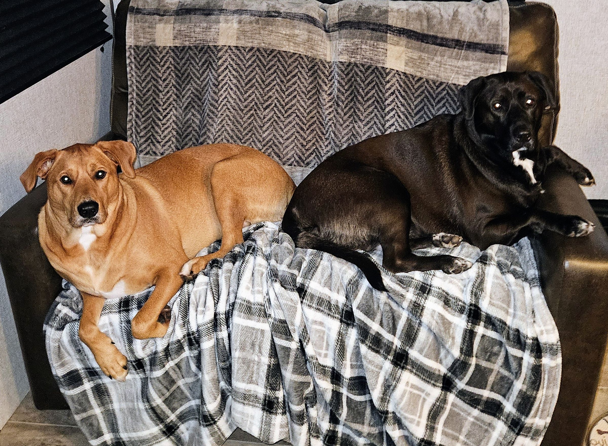 Mar-Bay's Customs's image