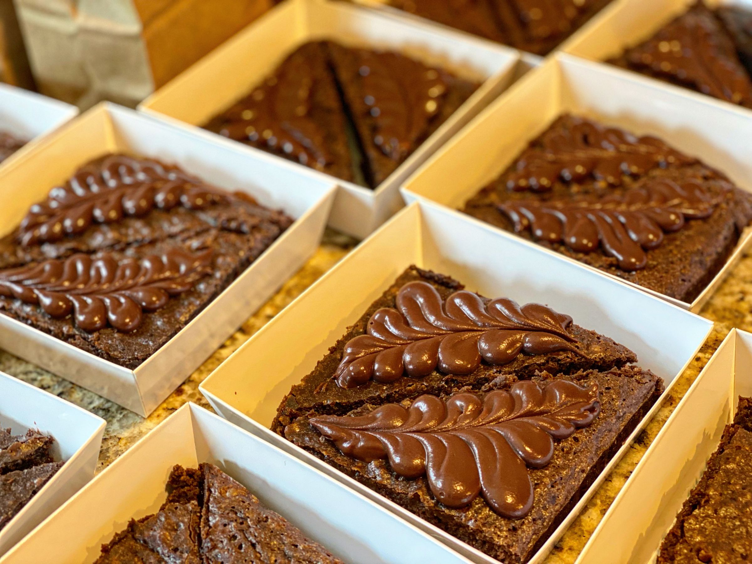 SOURDOUGH SANCTUARY's image