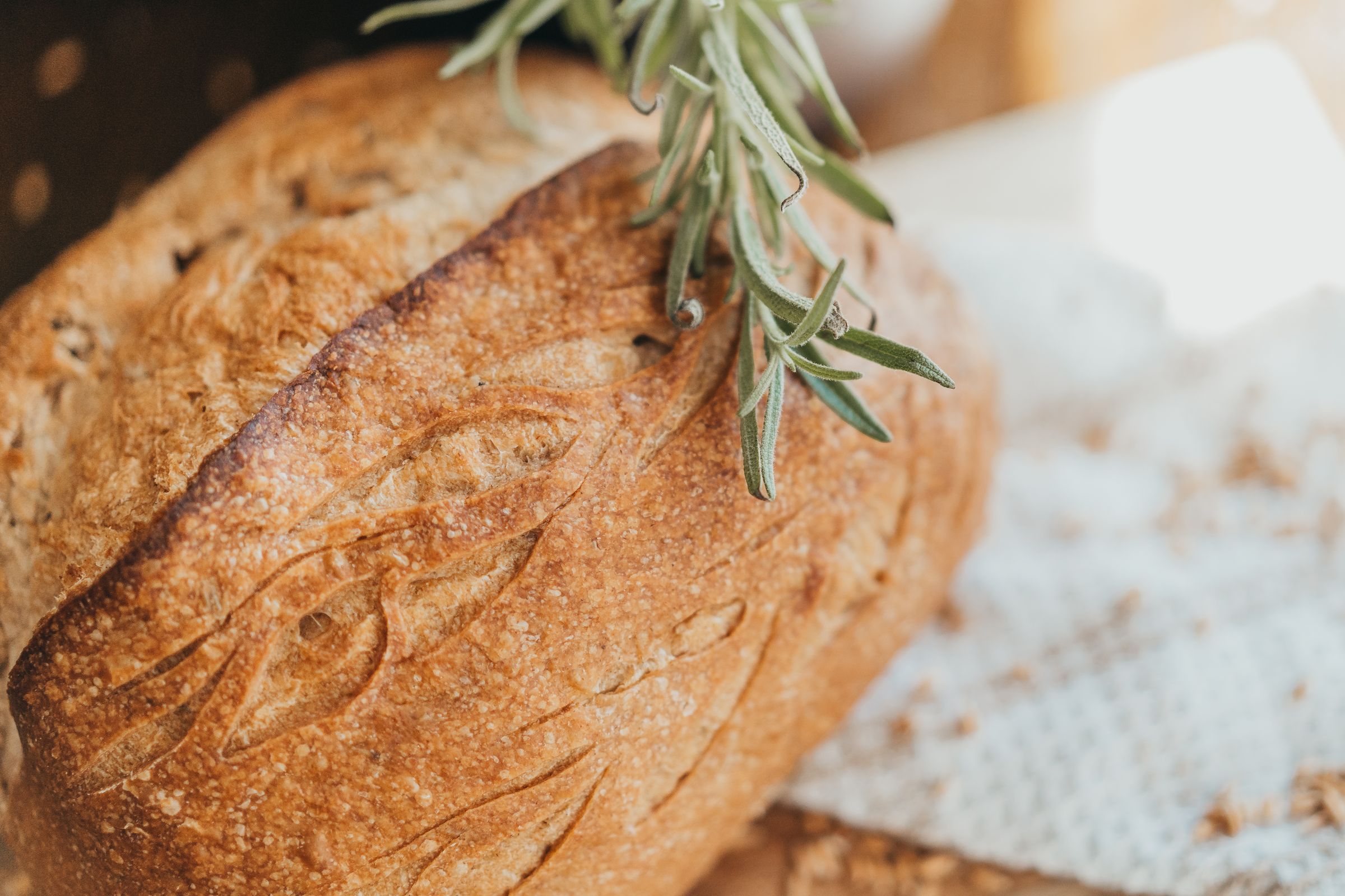 SOURDOUGH SANCTUARY's image