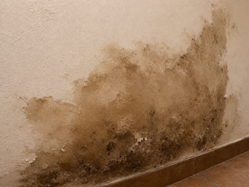 Constructora SERA Reforma y construccion Pilar Jose C Paz's image