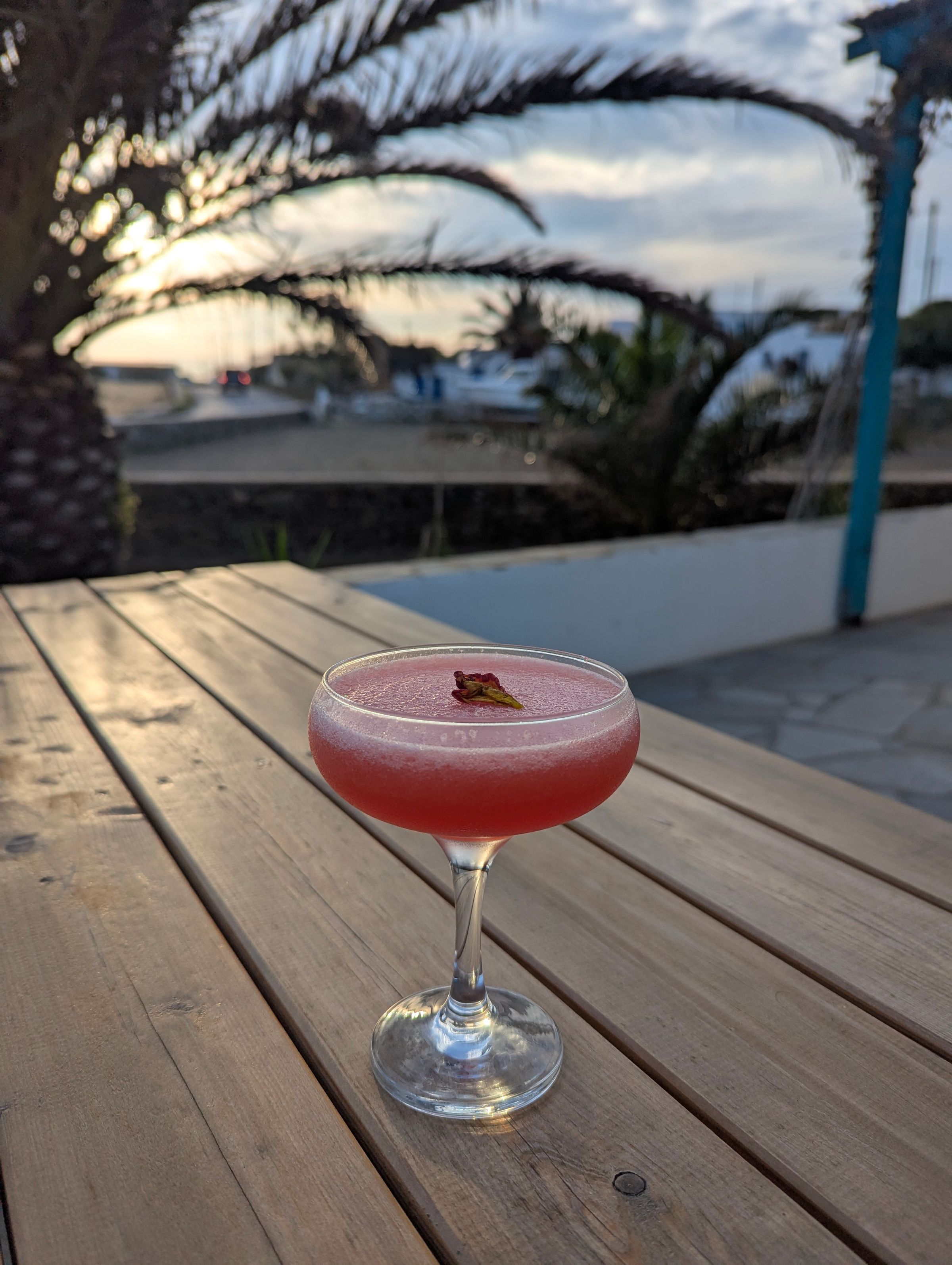 UNDER THE PALM TREE's image