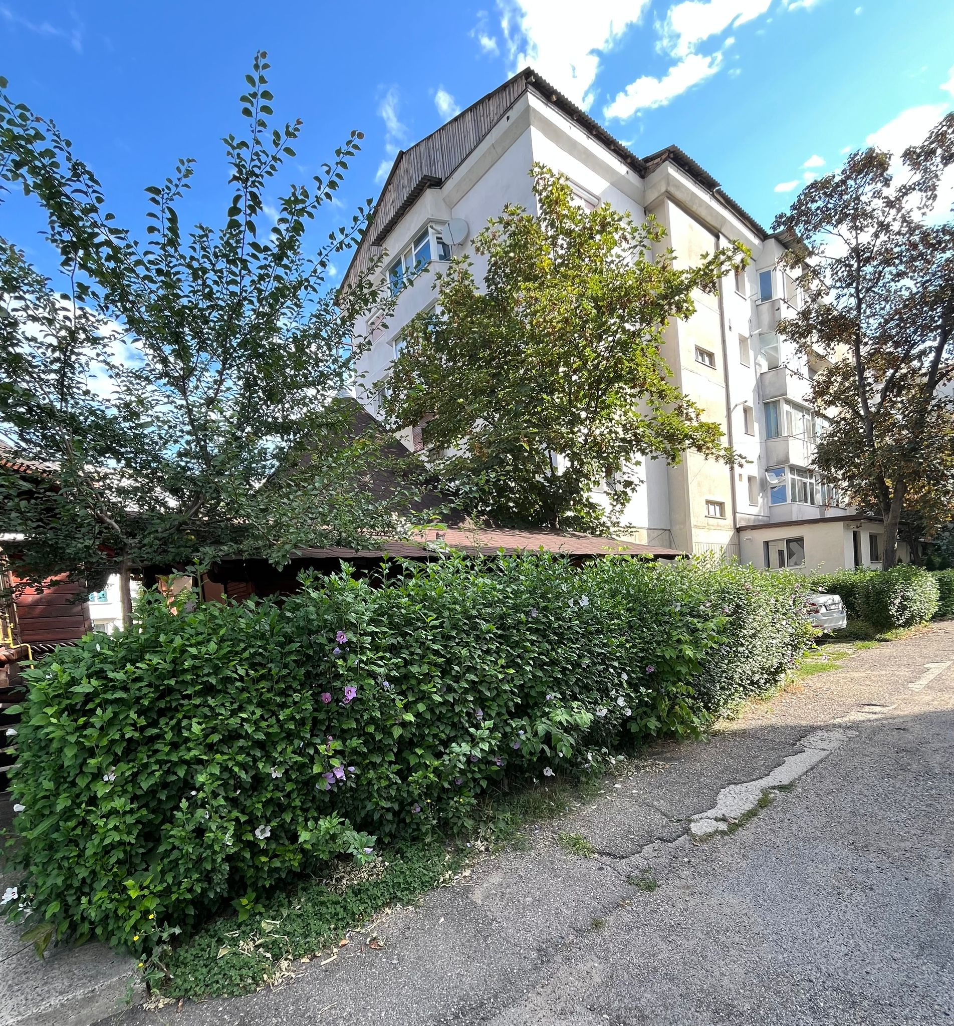 Amenajare Grădină De Vis Bacău's image