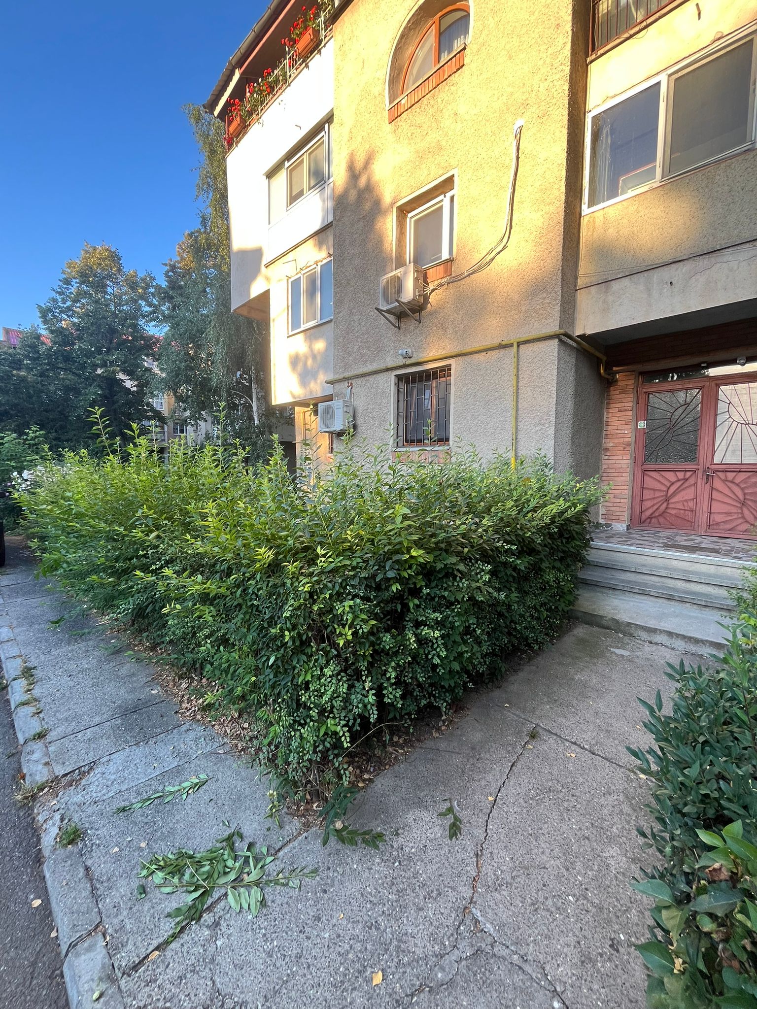 Amenajare Grădină De Vis Bacău's image