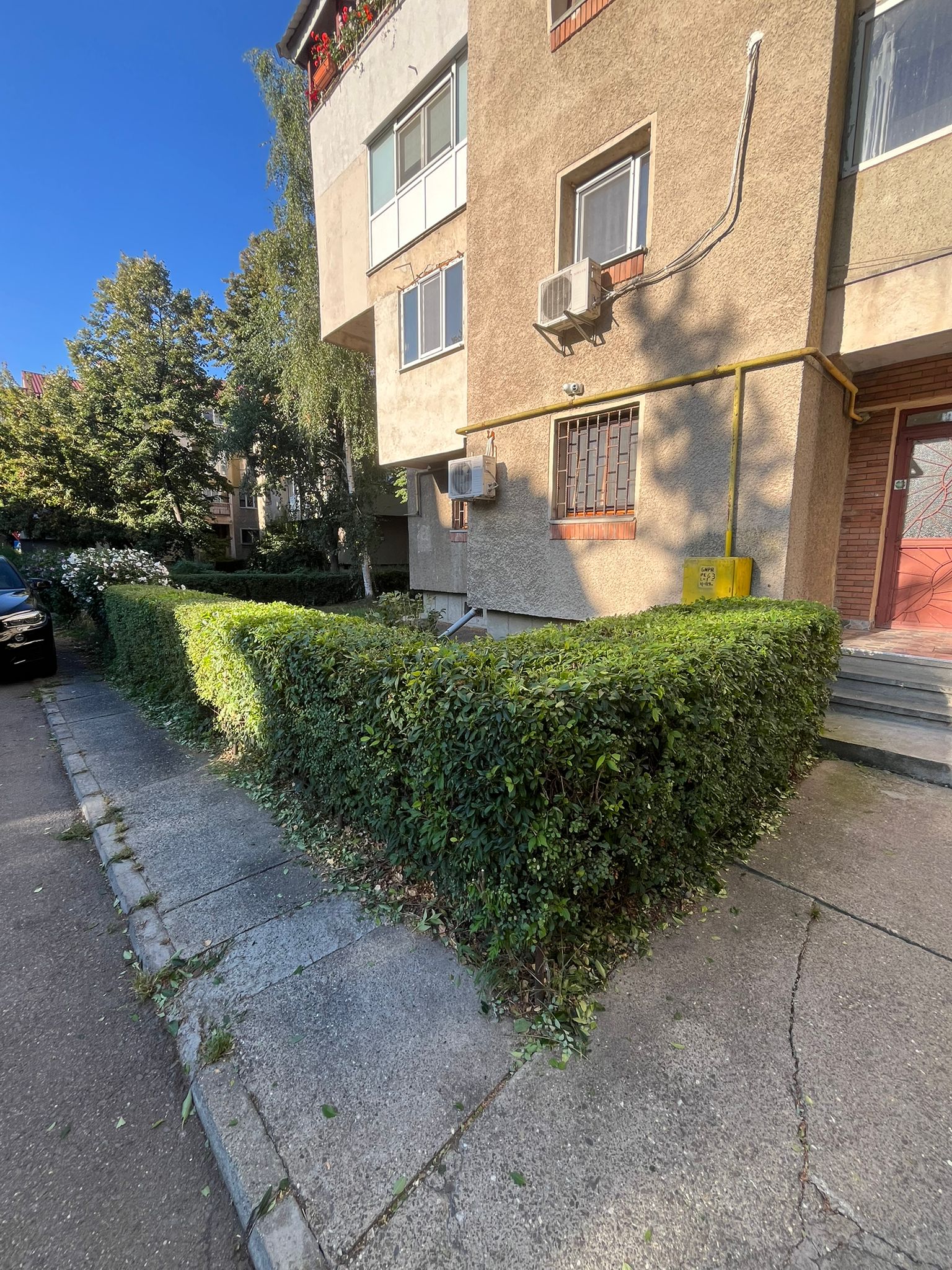 Amenajare Grădină De Vis Bacău's image