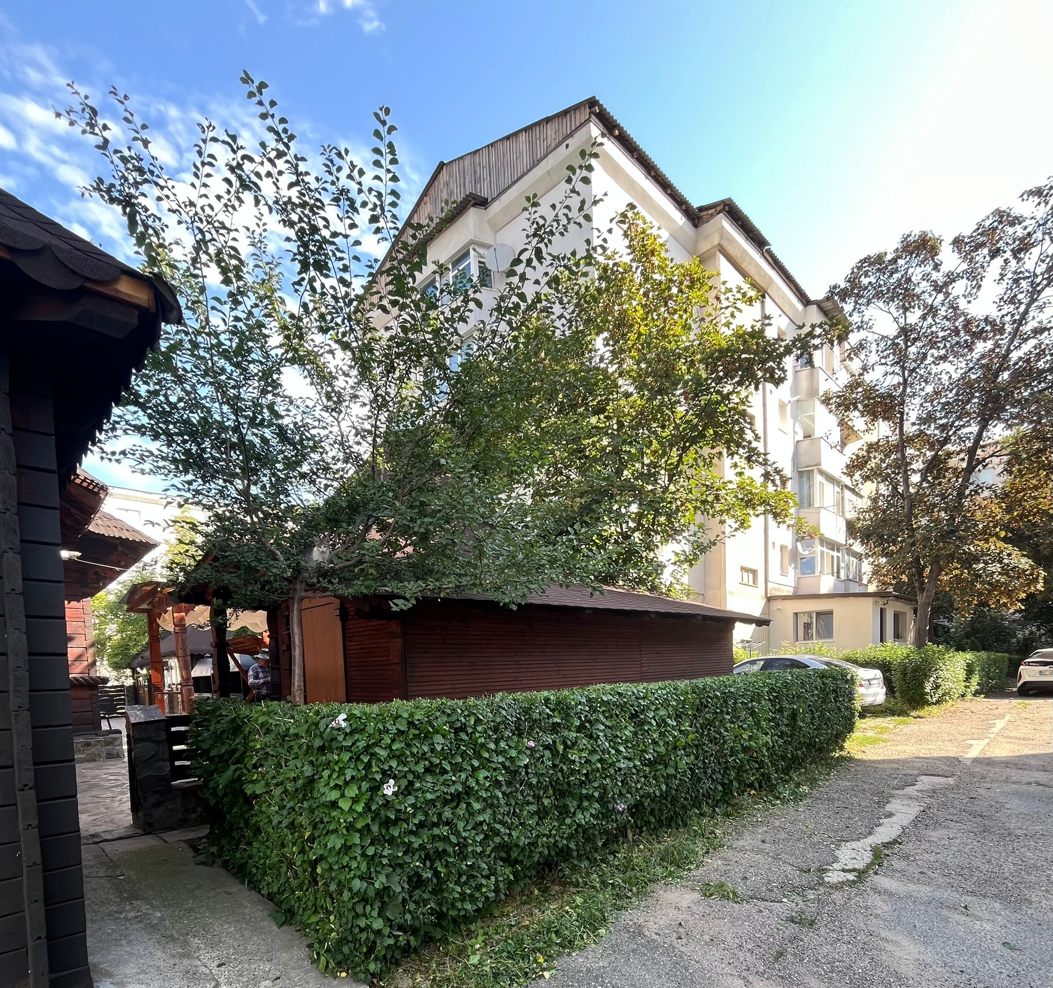 Amenajare Grădină De Vis Bacău's image