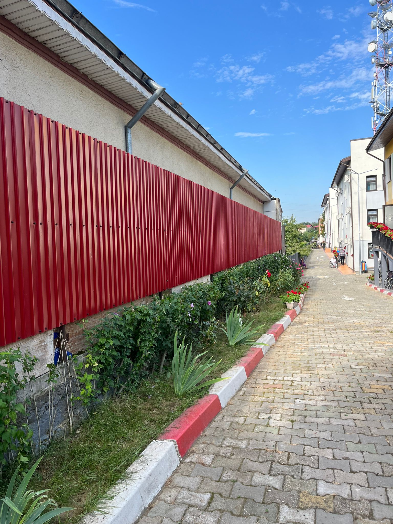 Amenajare Grădină De Vis Bacău's image