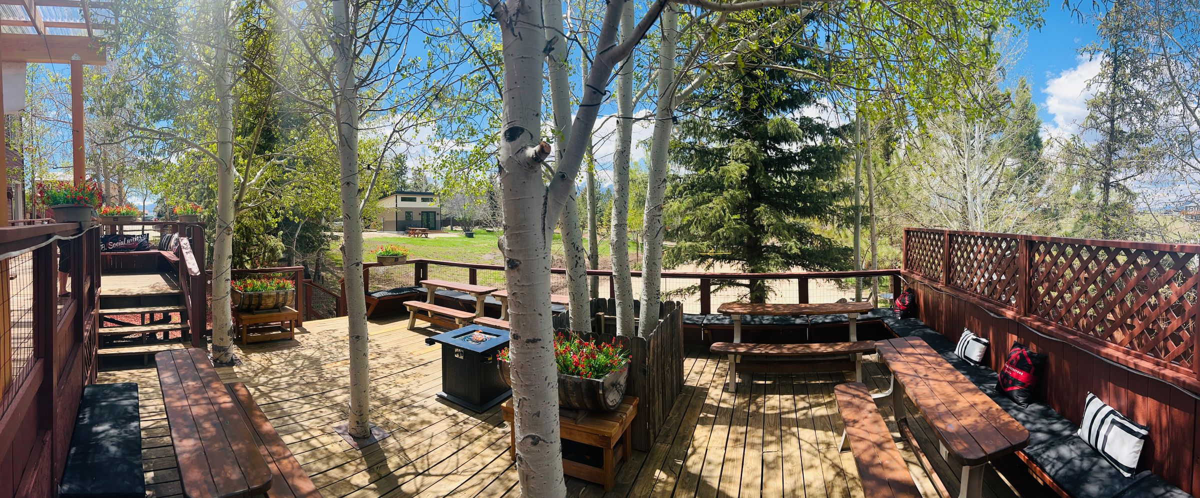 B. Social Feedstore 's image