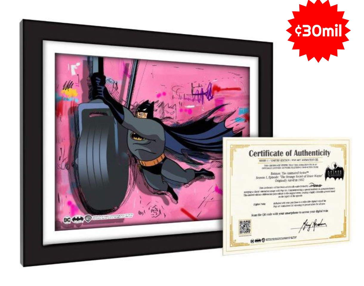 pulsocreativostore's image