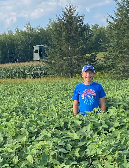 Solo Field & Forest's image