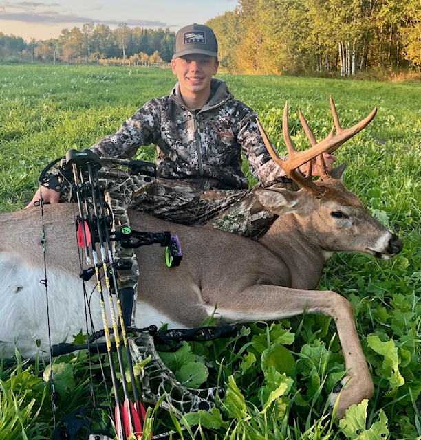 Solo Field & Forest's image