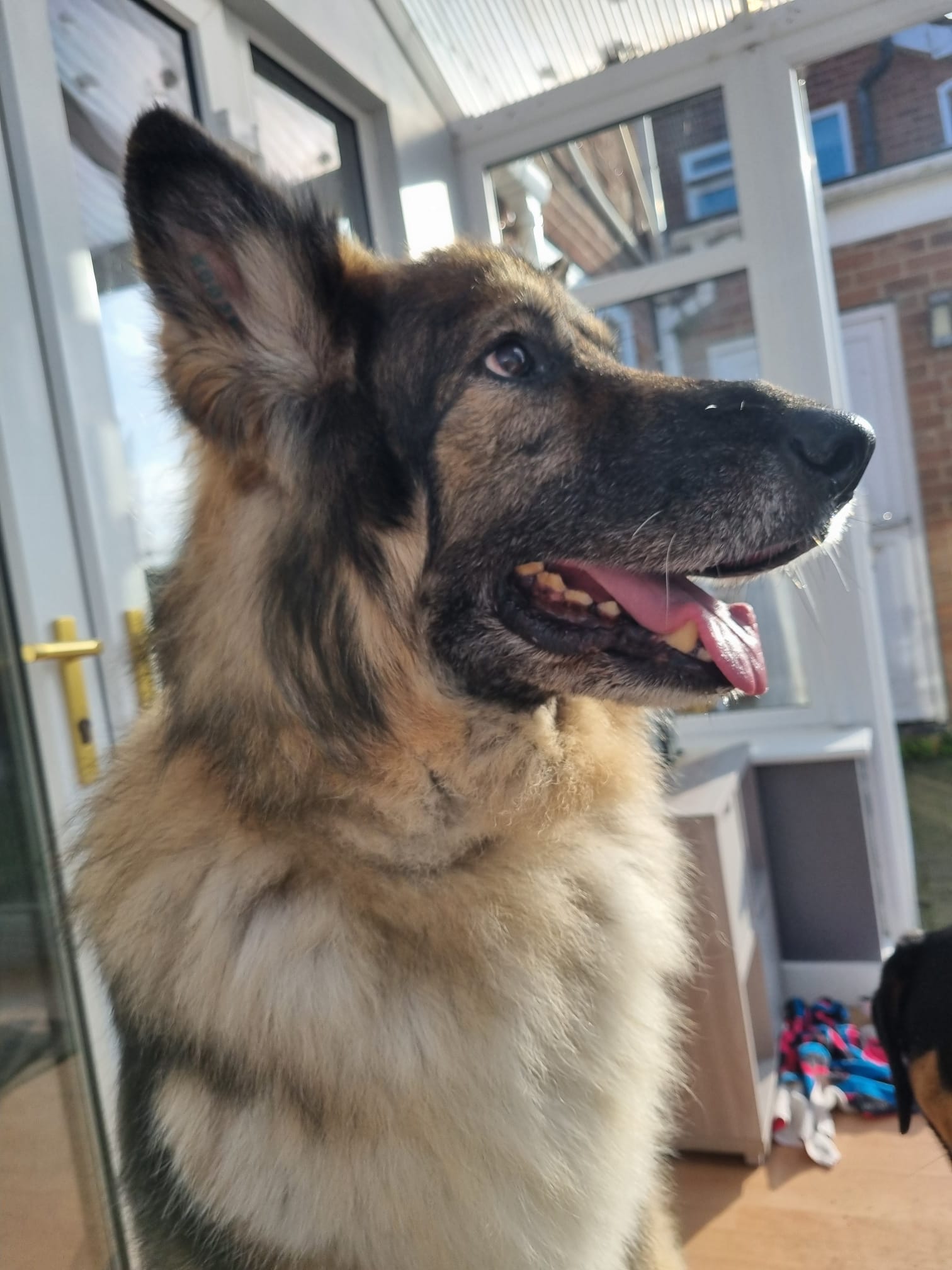 Bailey