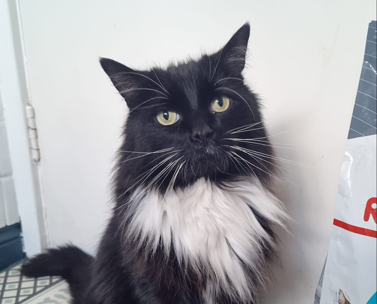 Julio