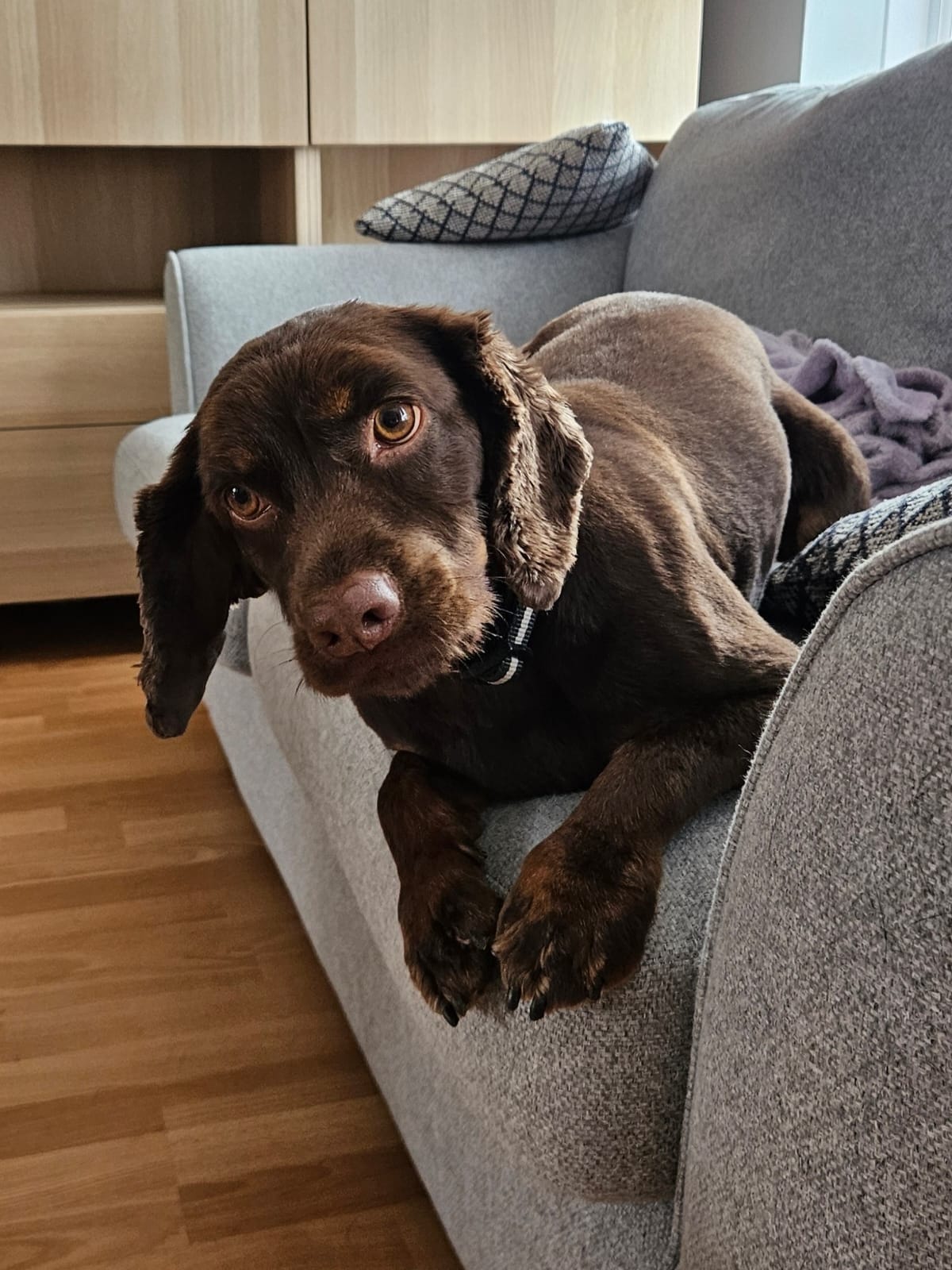 Bella.W