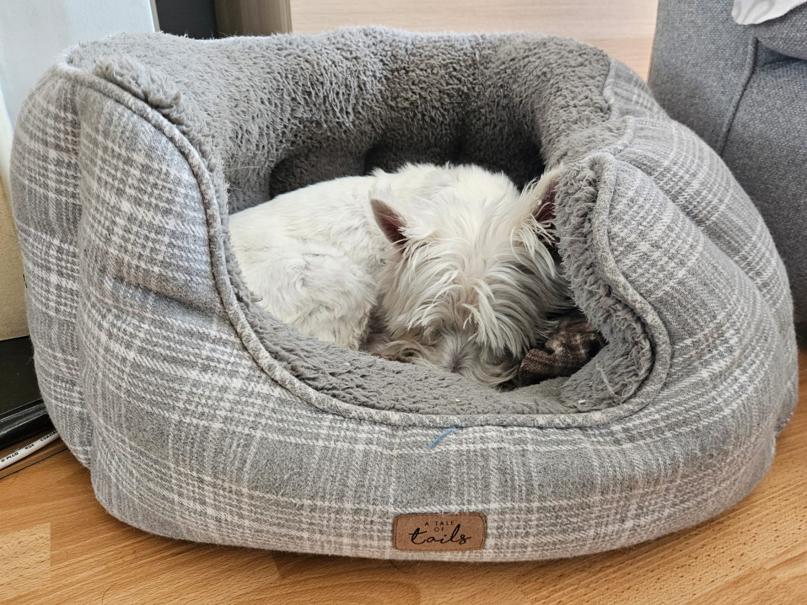 Lottie