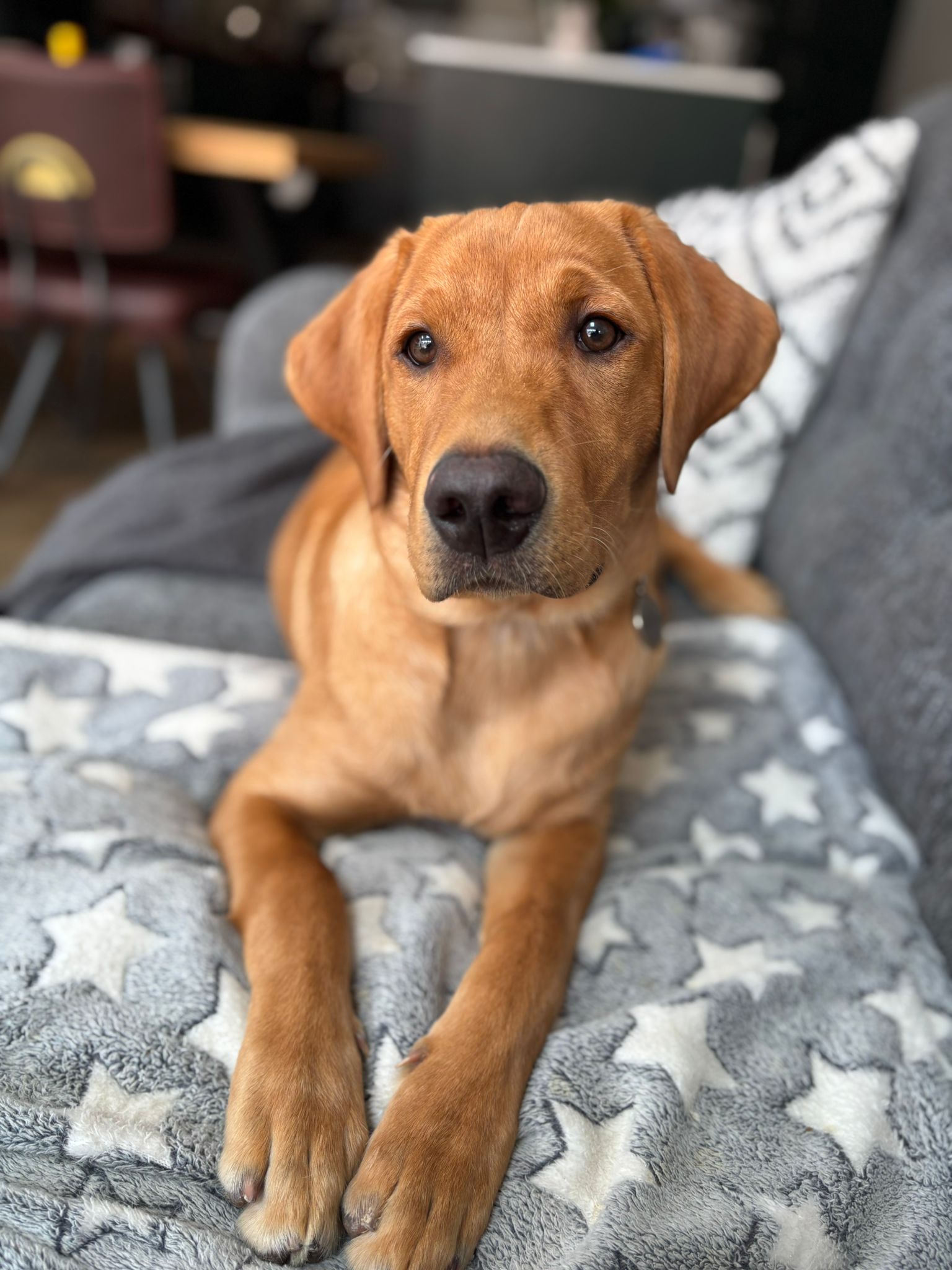 Obi