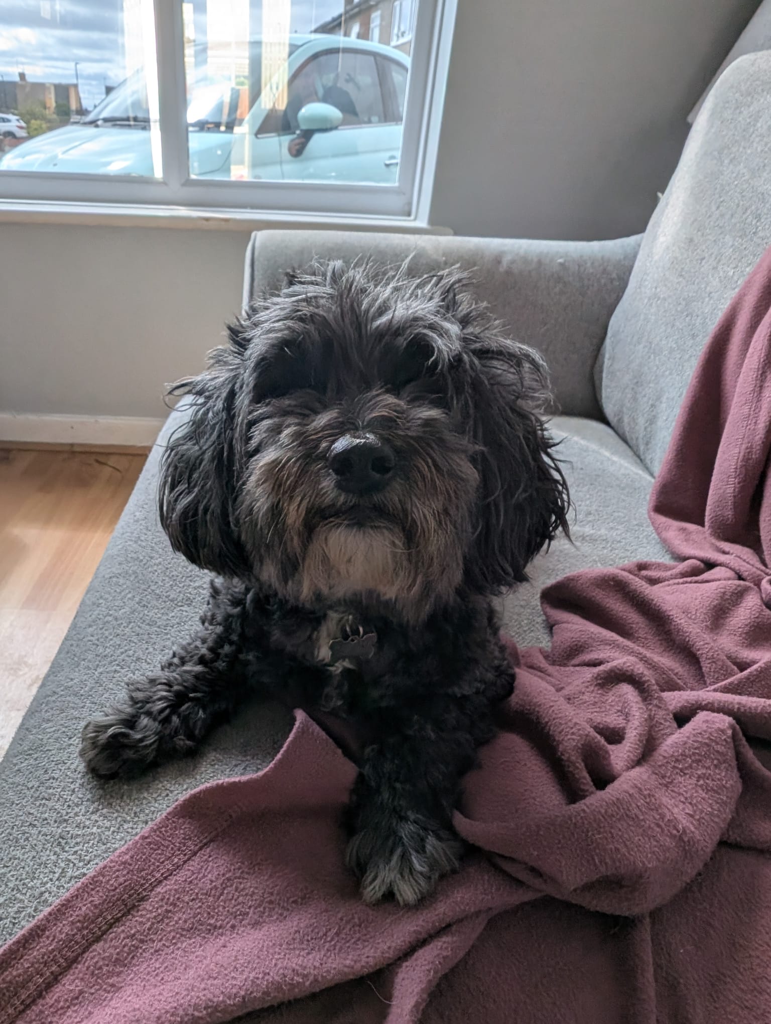Chester