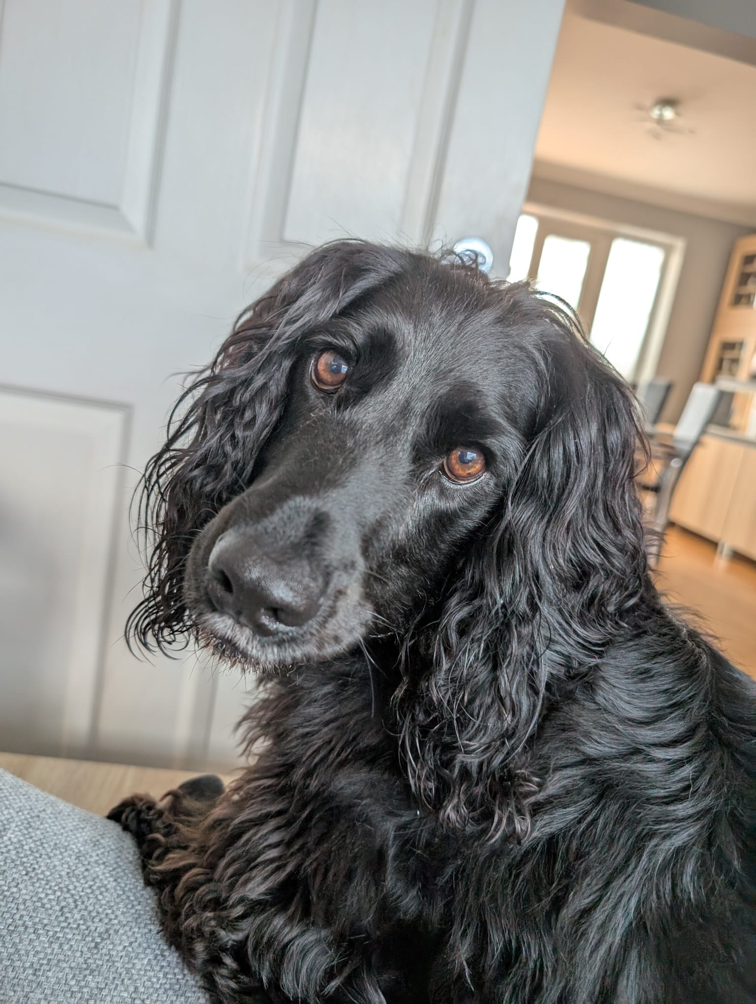 Jasper