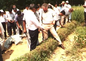 Strategy Reloaded 's image