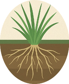 Strategy Reloaded 's image