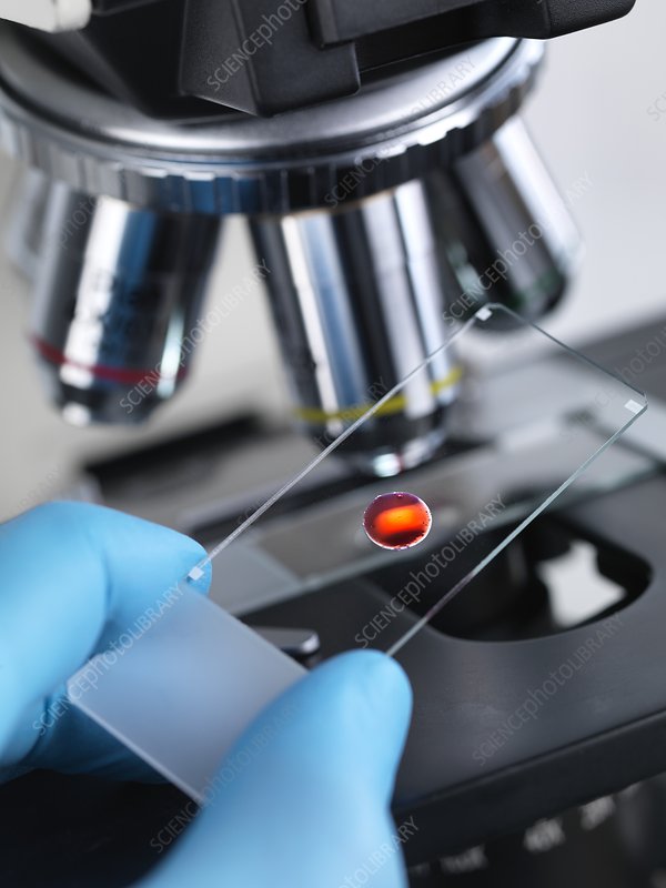 PURE BALANCE's image