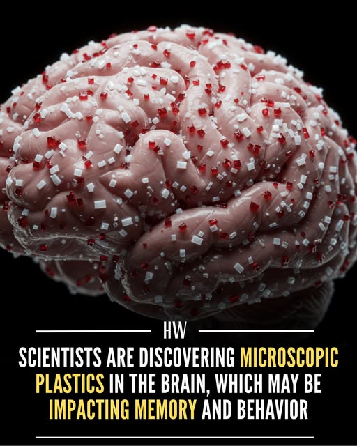 Simcha Healthcare's image