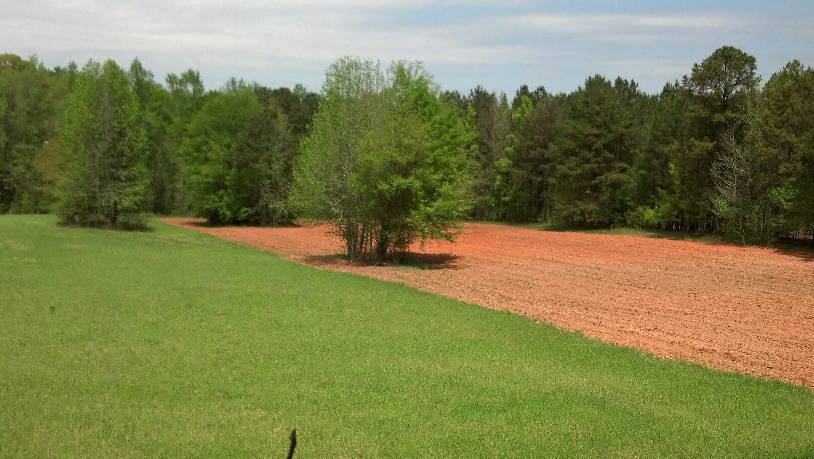 Simmons Property Management 's image
