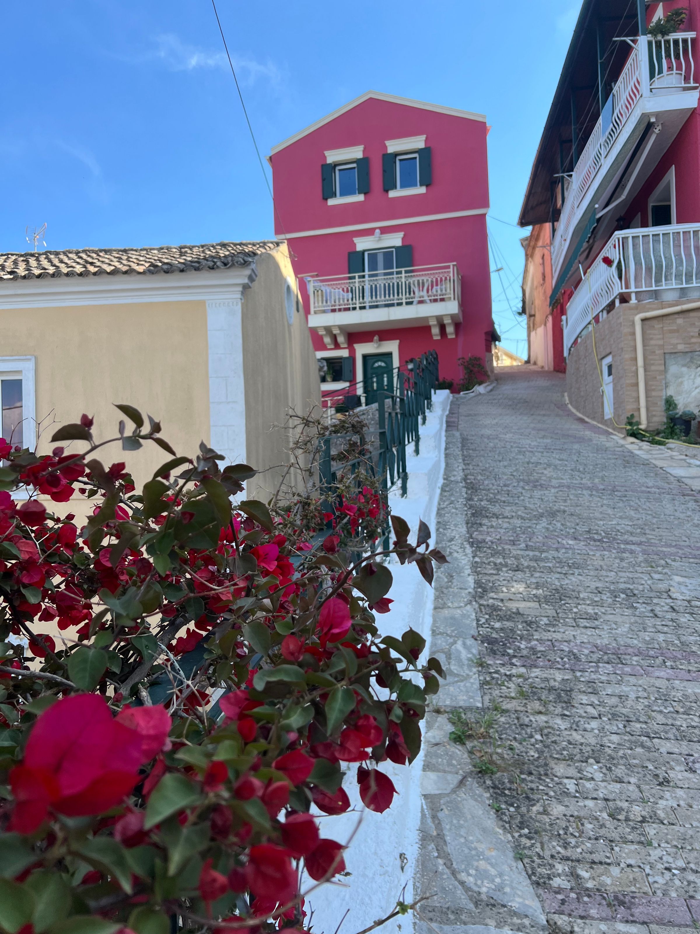 Corfu transfers and tours's image