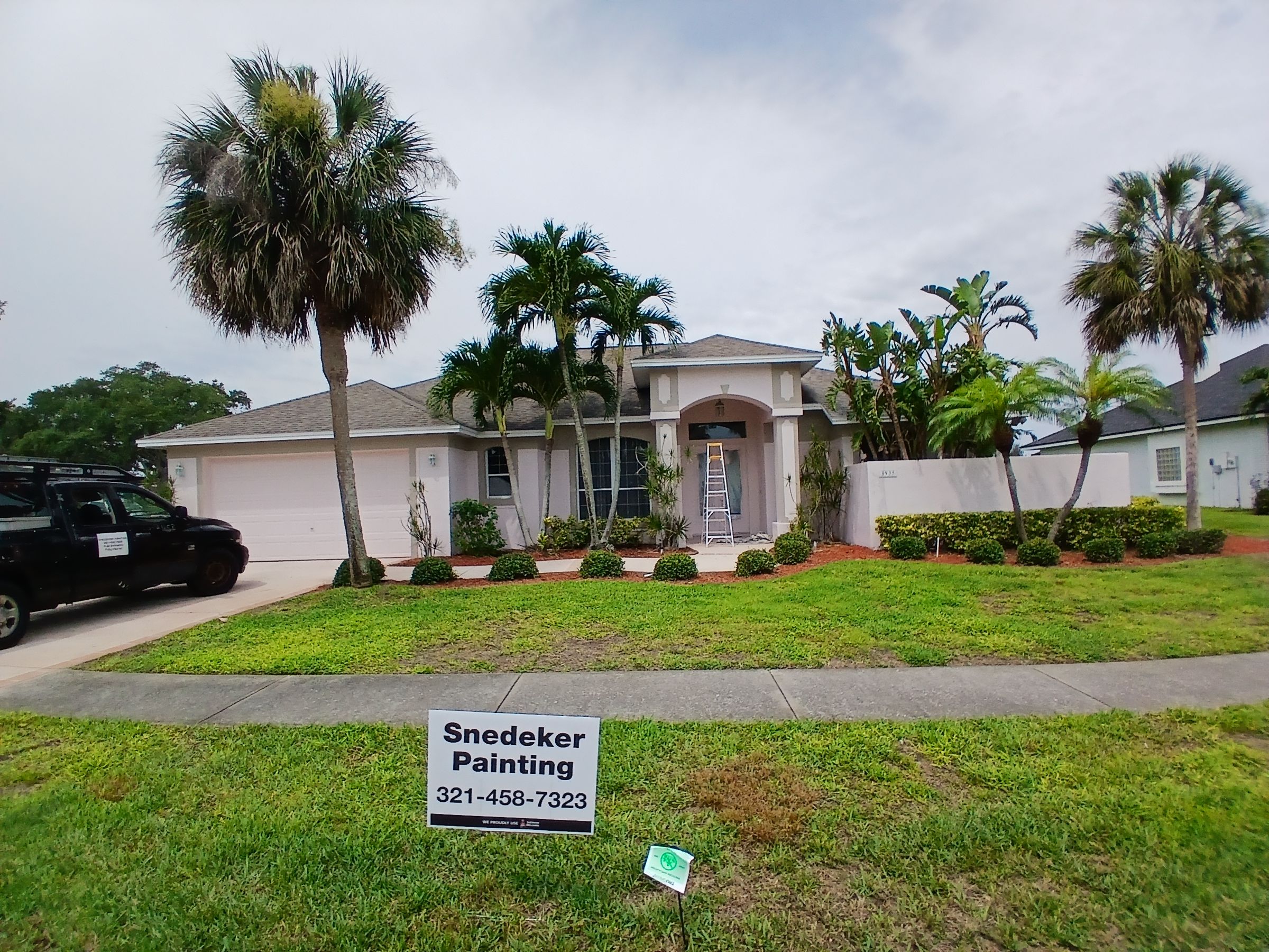 Snedeker Painting 's image