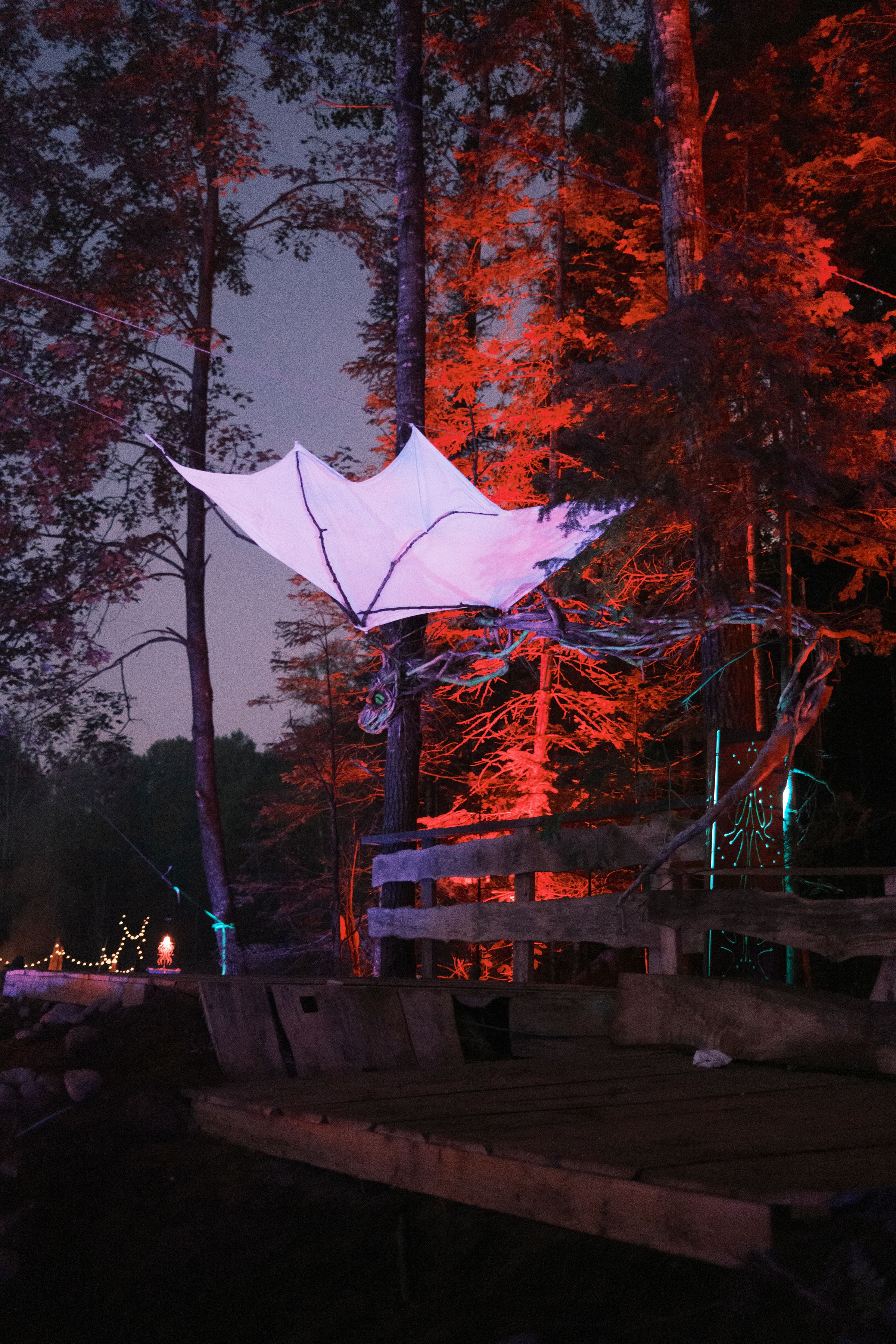 Pretty functional 's image