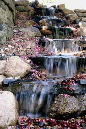 715 LANDSCAPE 's image