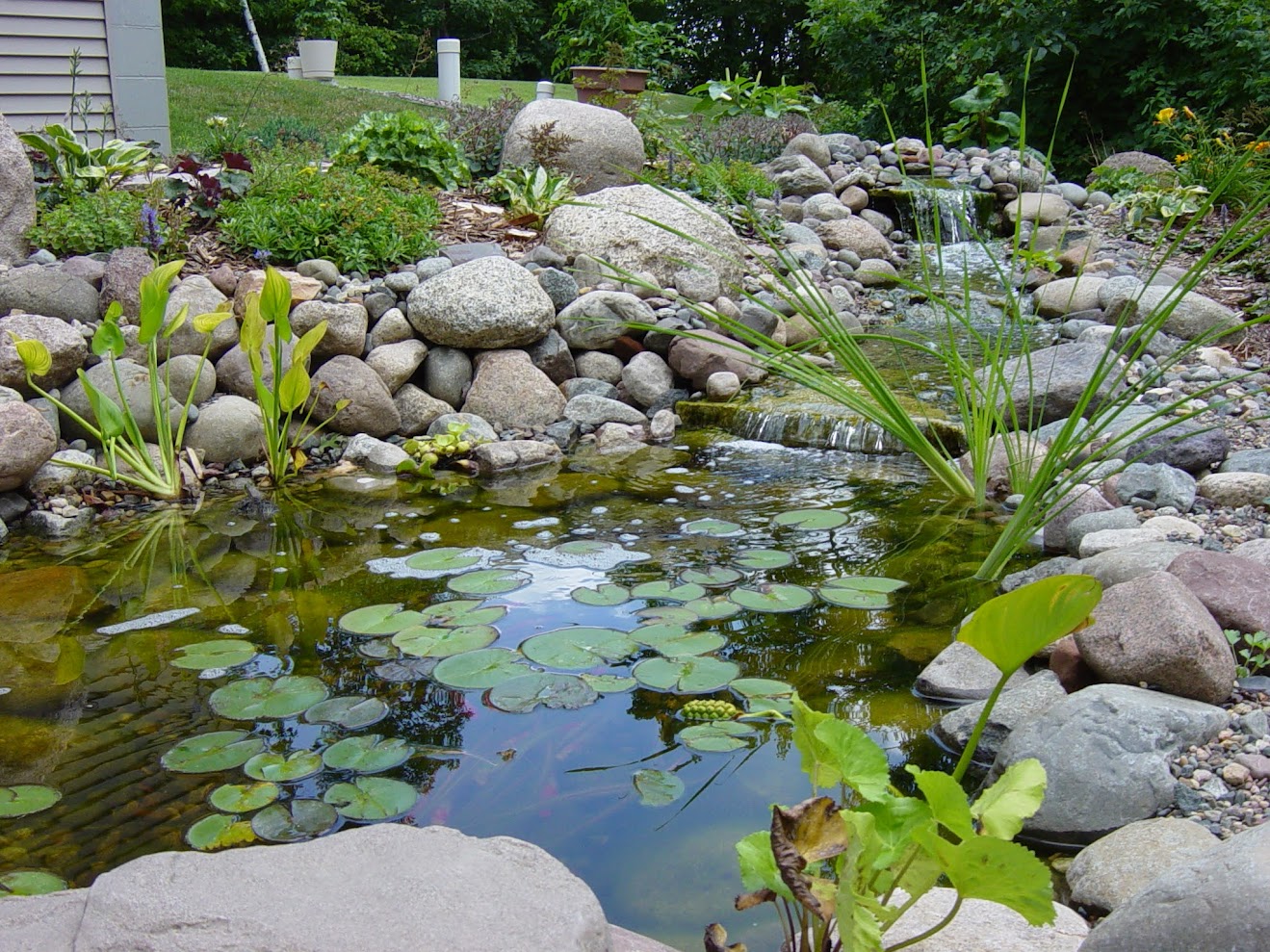 715 LANDSCAPE 's image