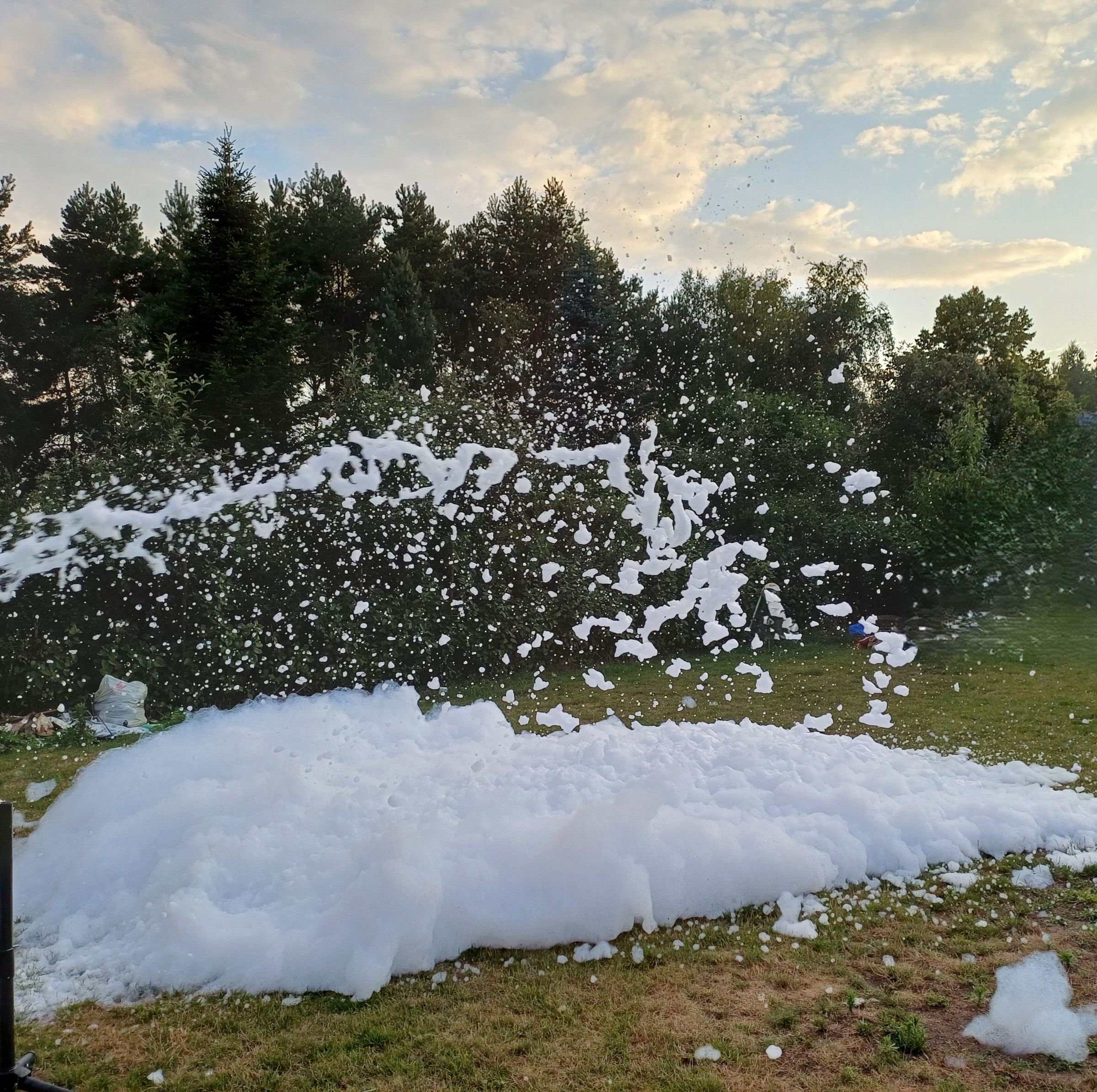 Trele Morele's image