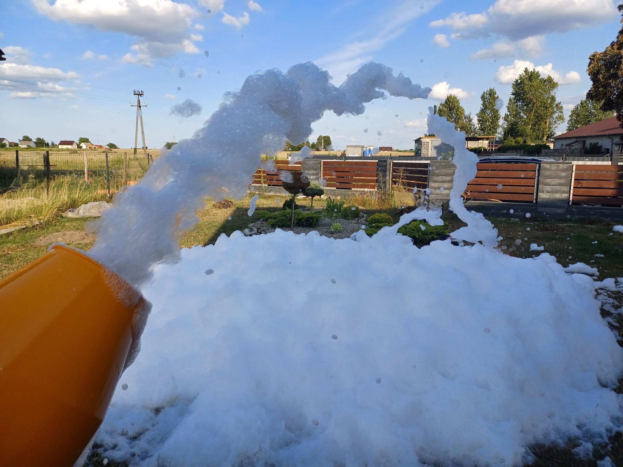 Trele Morele's image